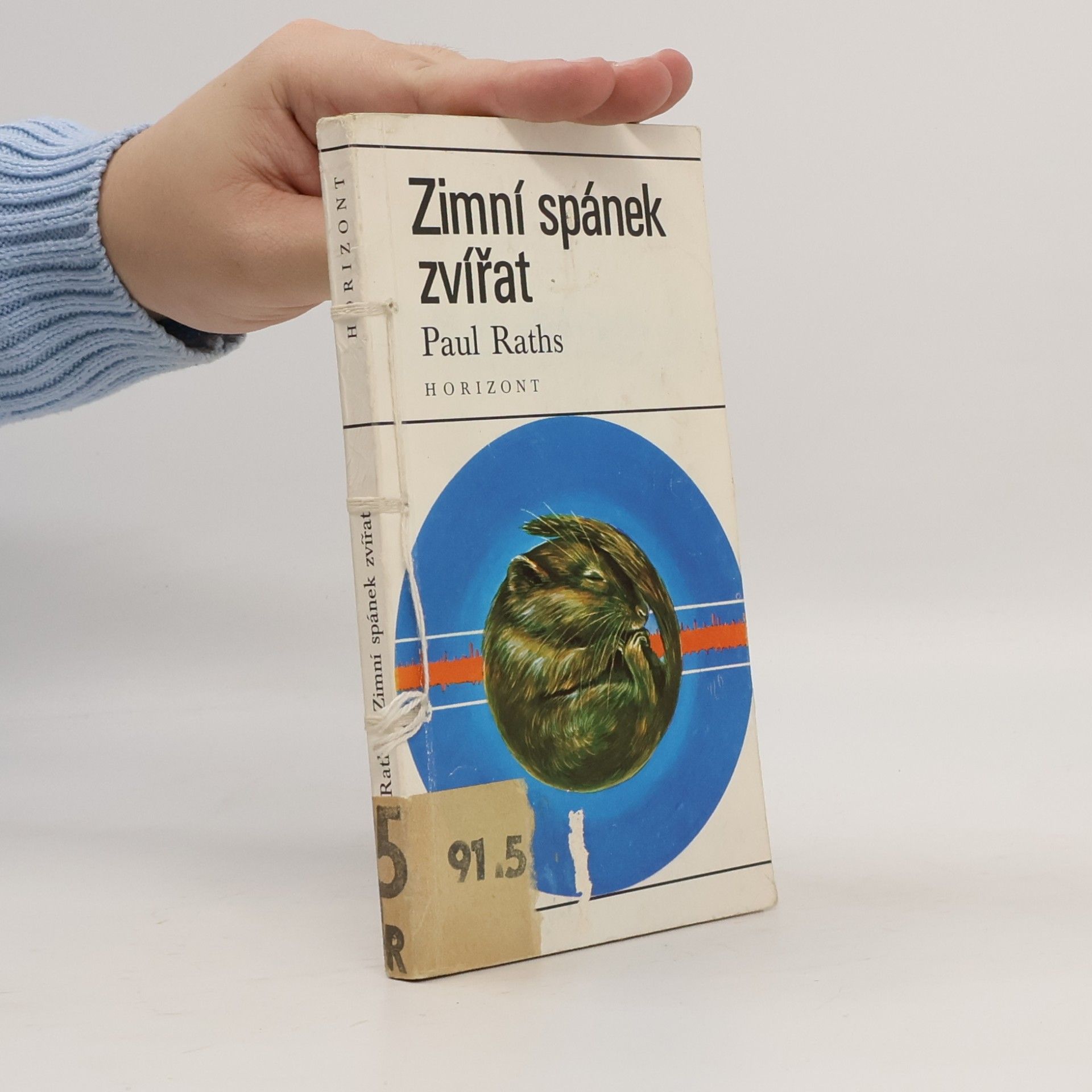 Zimní spánek zvířat