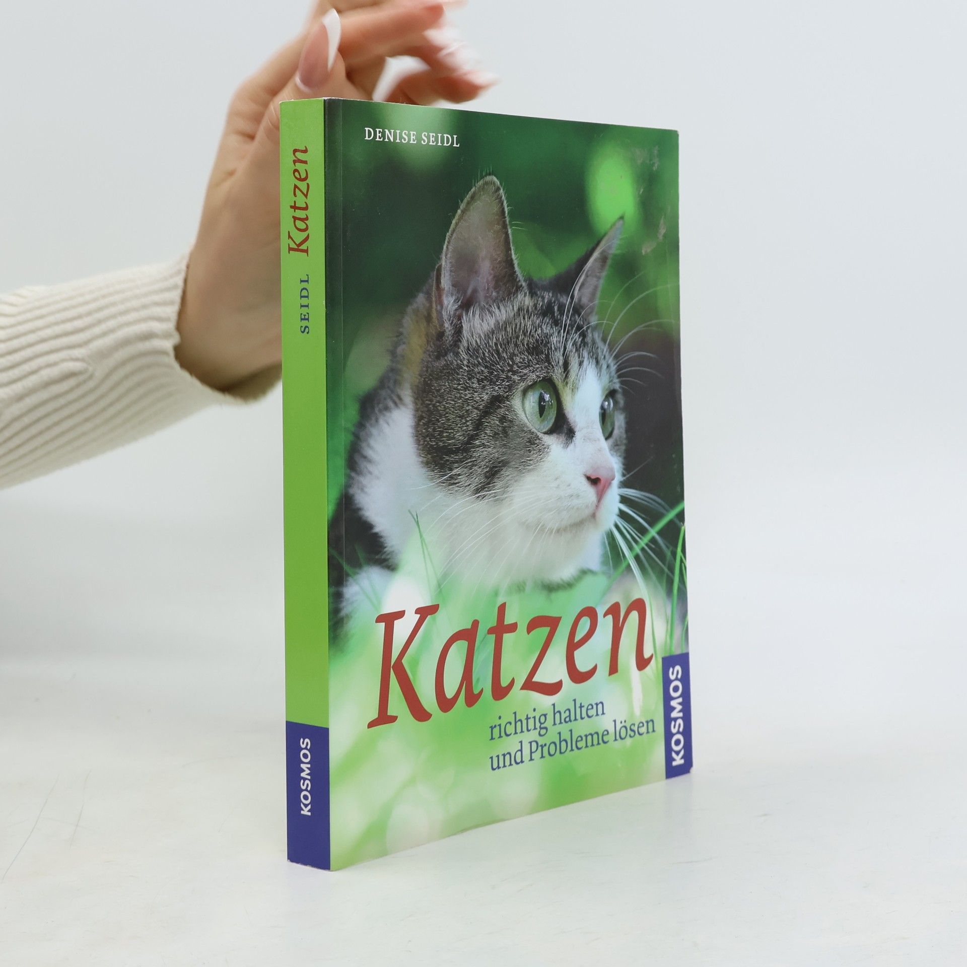 Katzen richtig halten und Probleme lösen