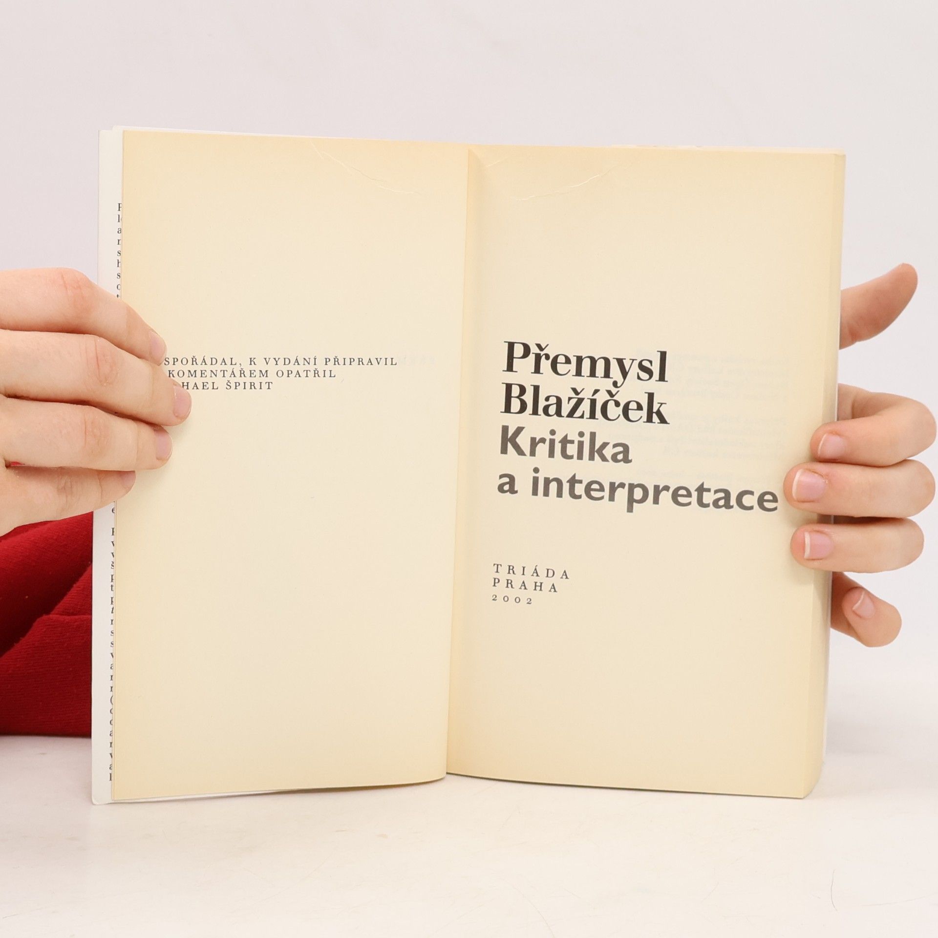 Přemysl Blažíček Kritika a interpretace
