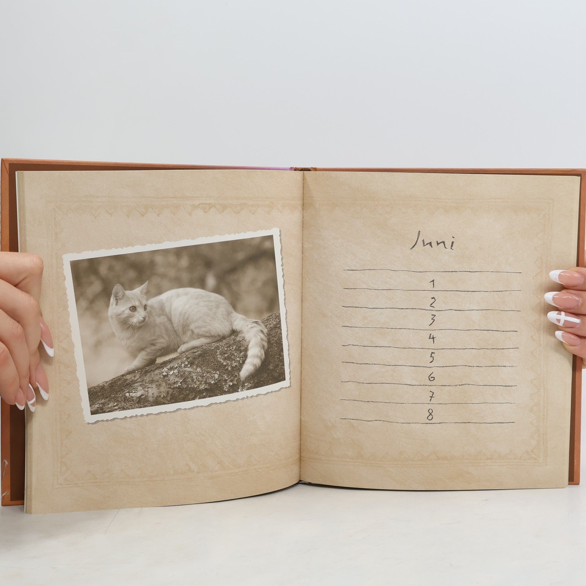 Autorenkollektiv Calendarium für Katzenfreude