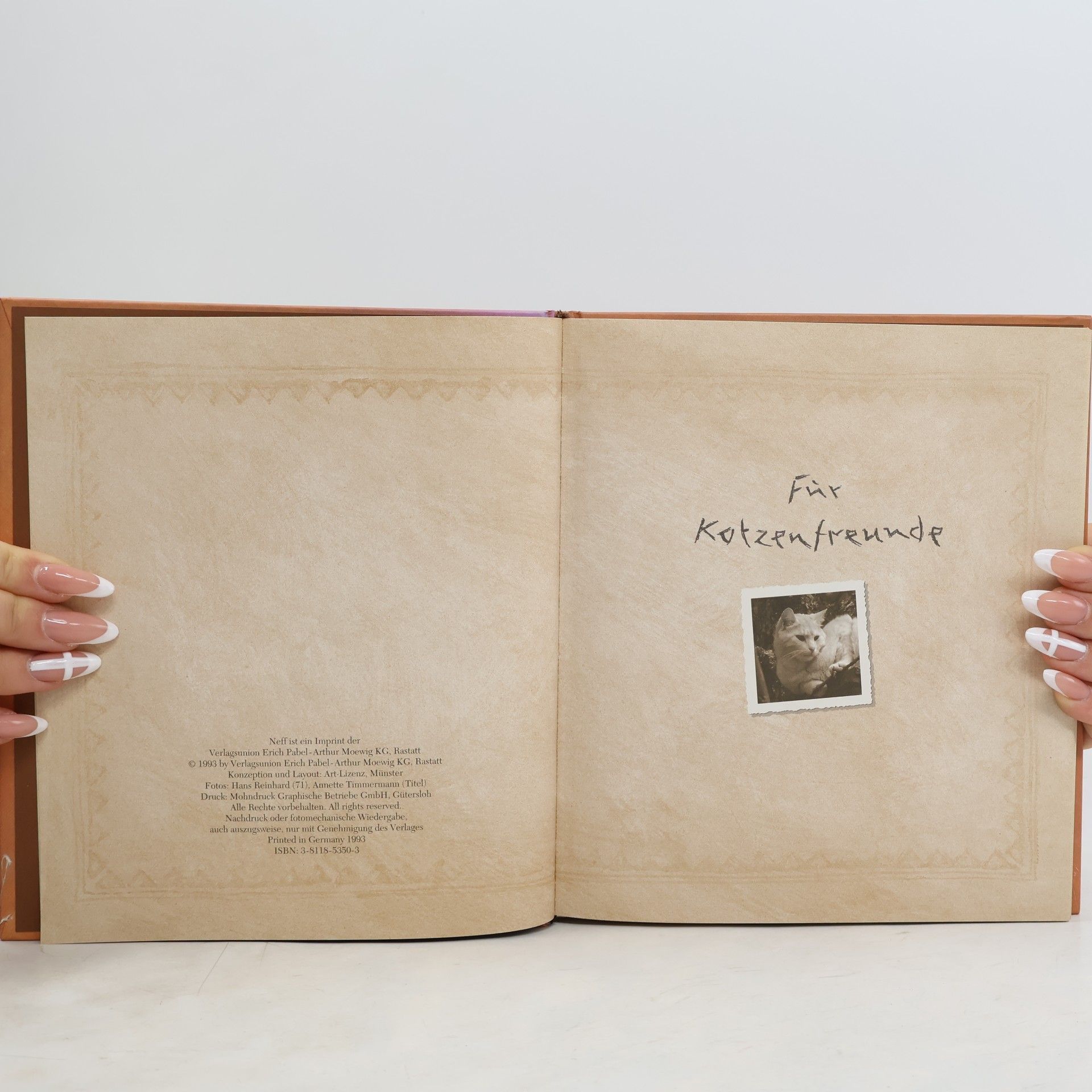 Autorenkollektiv Calendarium für Katzenfreude