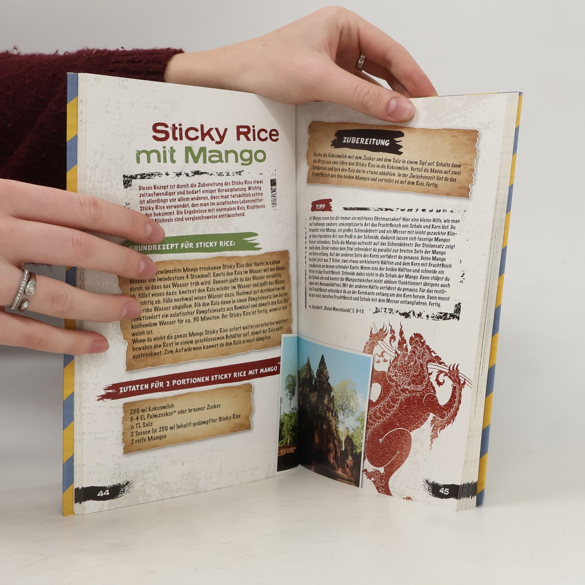 Bettina Steitz Vegan rockt! - On the Road - Weltreiserezepte