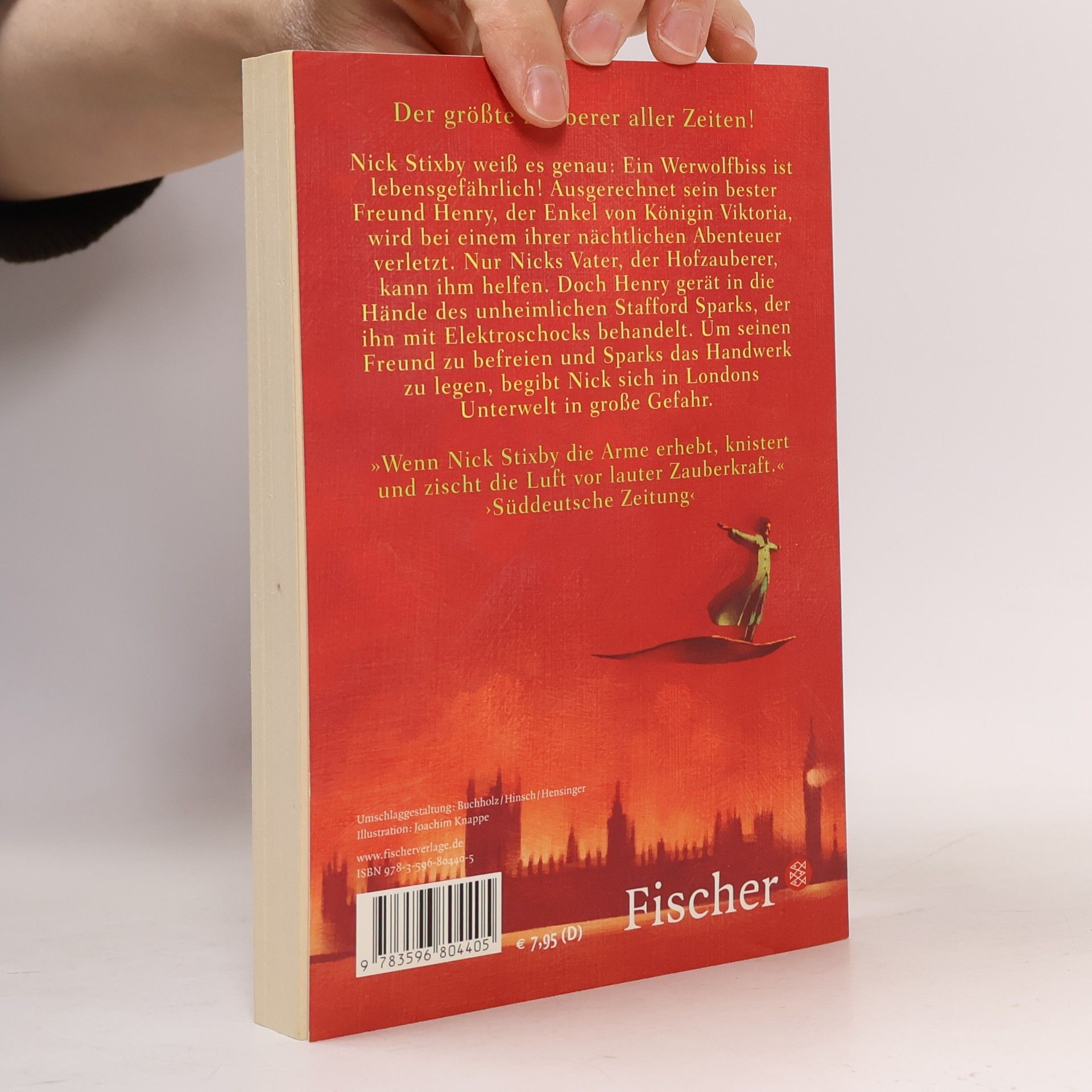 Stephen Elboz Der Sohn des Zauberers