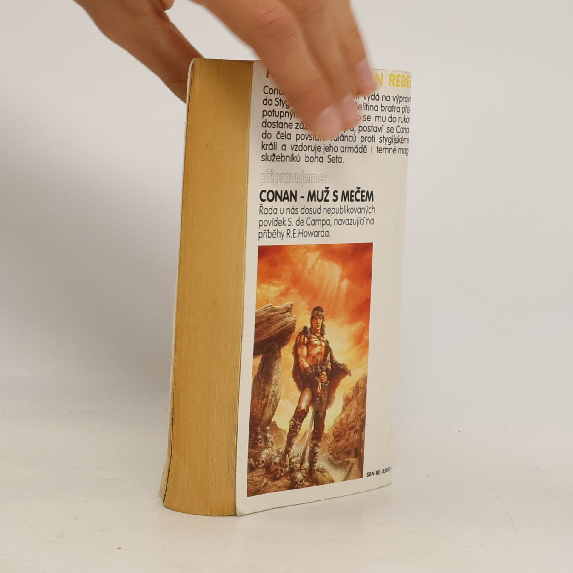 Poul Anderson Conan rebel