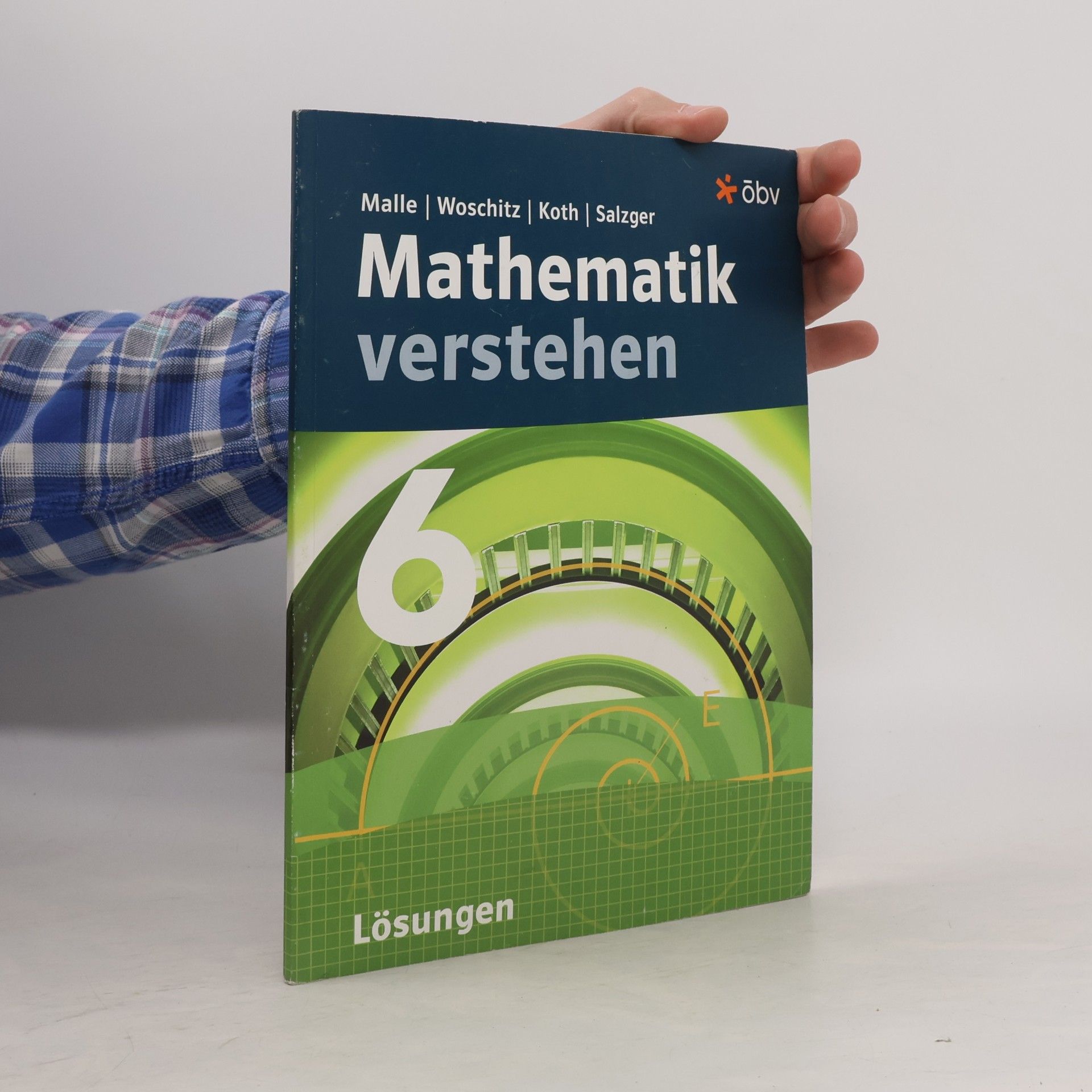 Mathematik verstehen 6