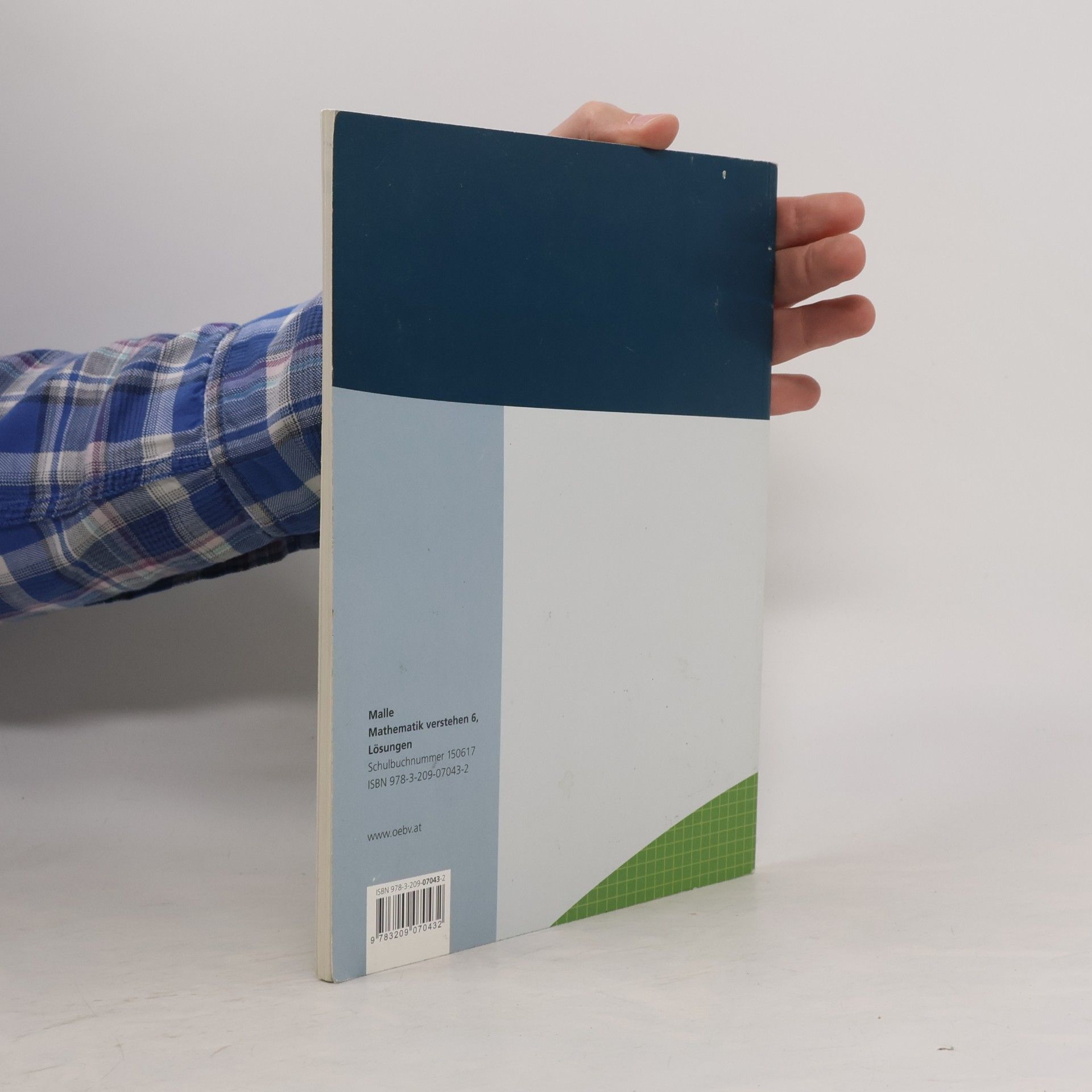 Günther Malle Mathematik verstehen 6