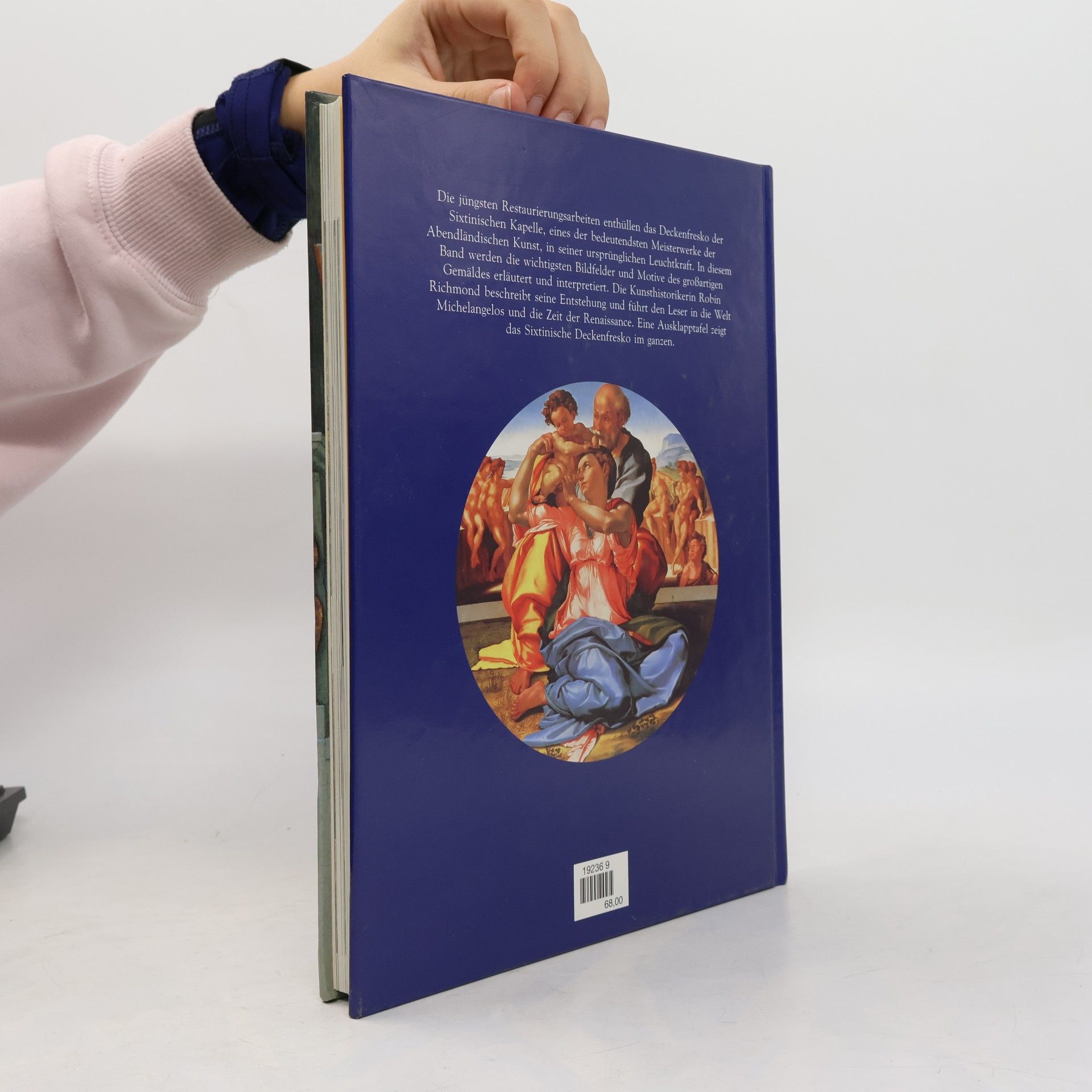 Robin Richmond Michelangelo und die Sixtinische Kapelle