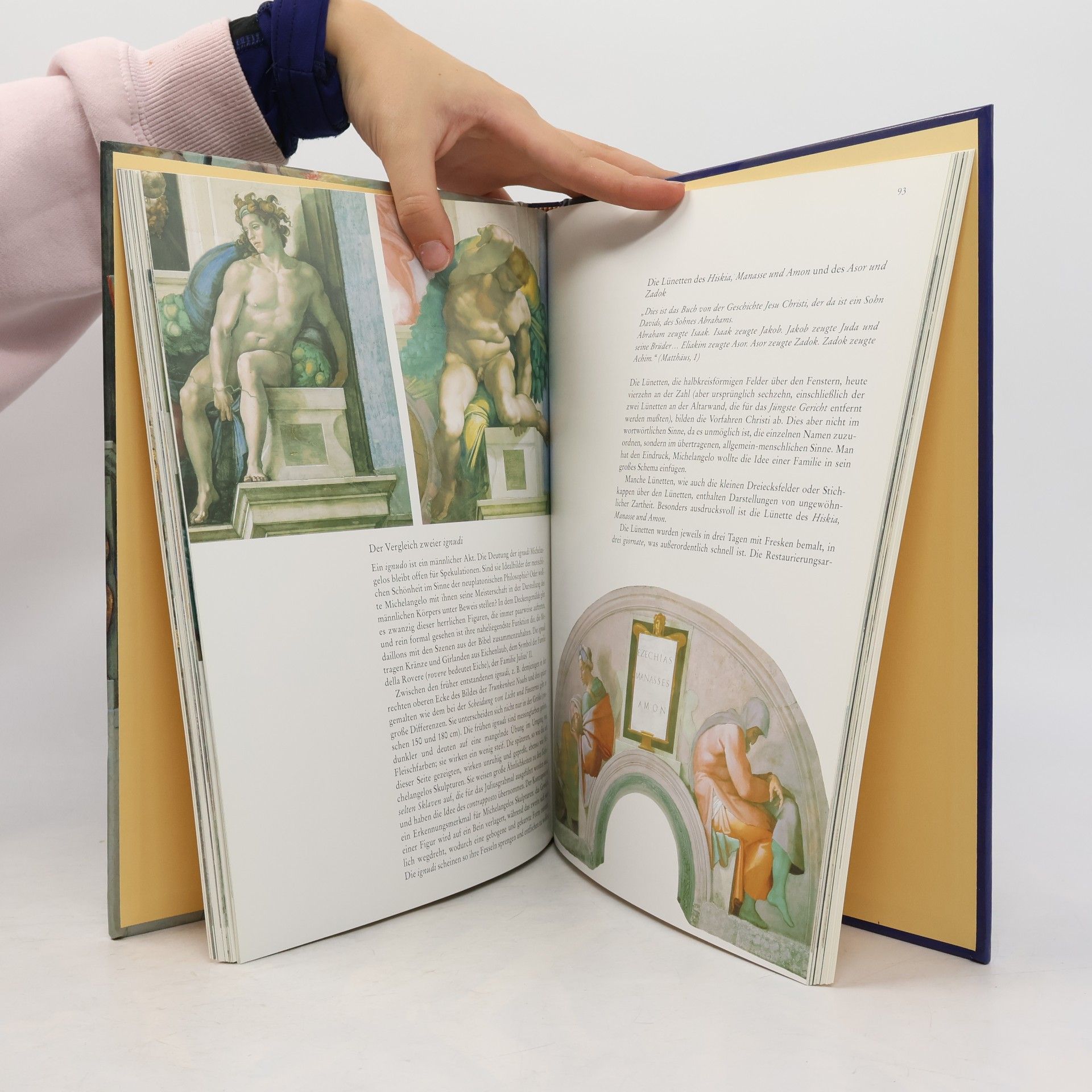 Robin Richmond Michelangelo und die Sixtinische Kapelle