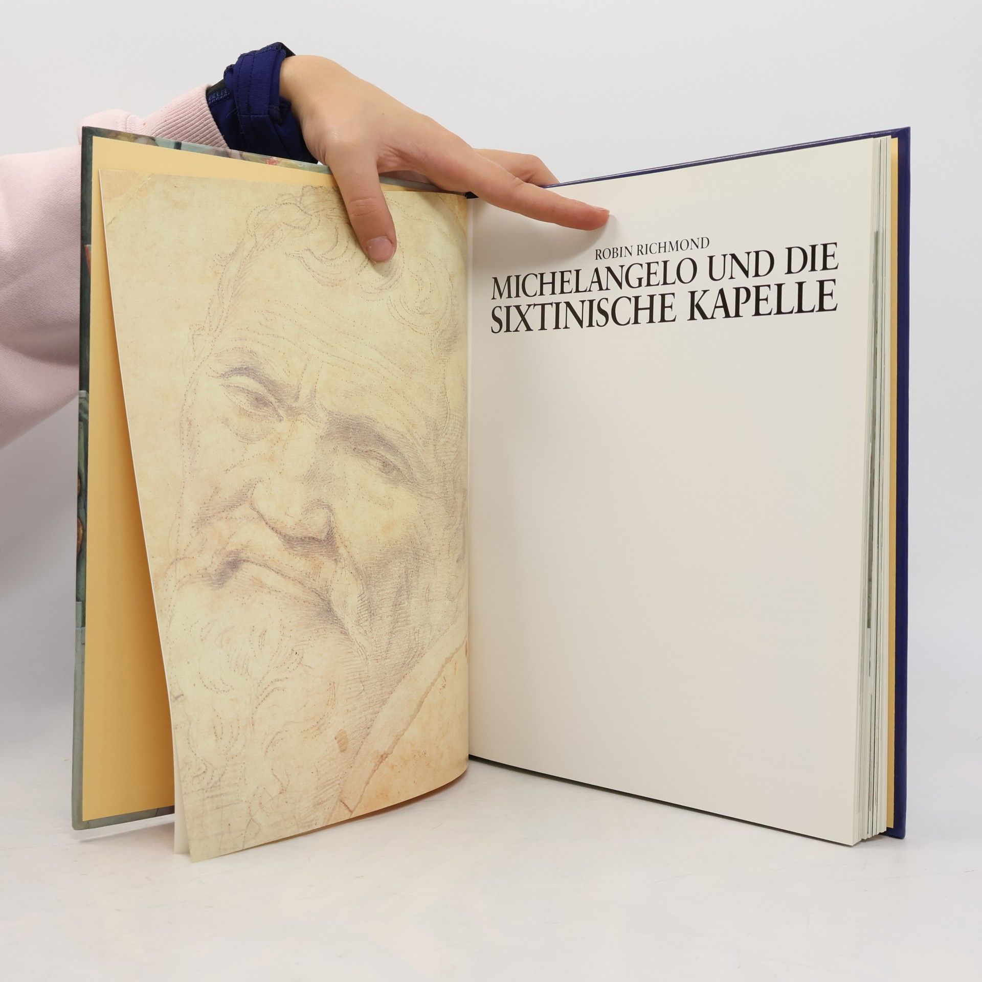 Robin Richmond Michelangelo und die Sixtinische Kapelle