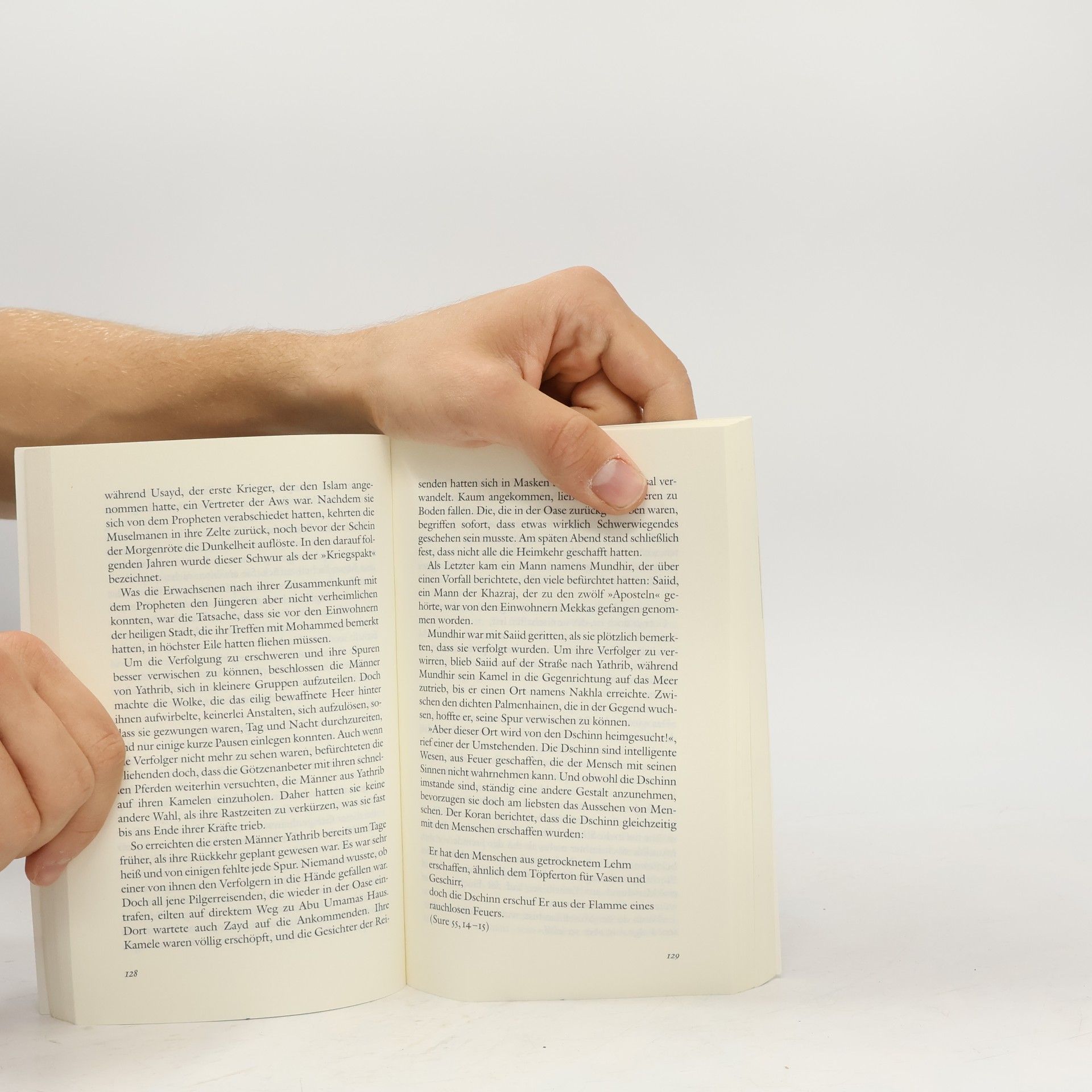 Ahmad Gianpiero Vincenzo Das Buch, das vom Himmel kam. Roman