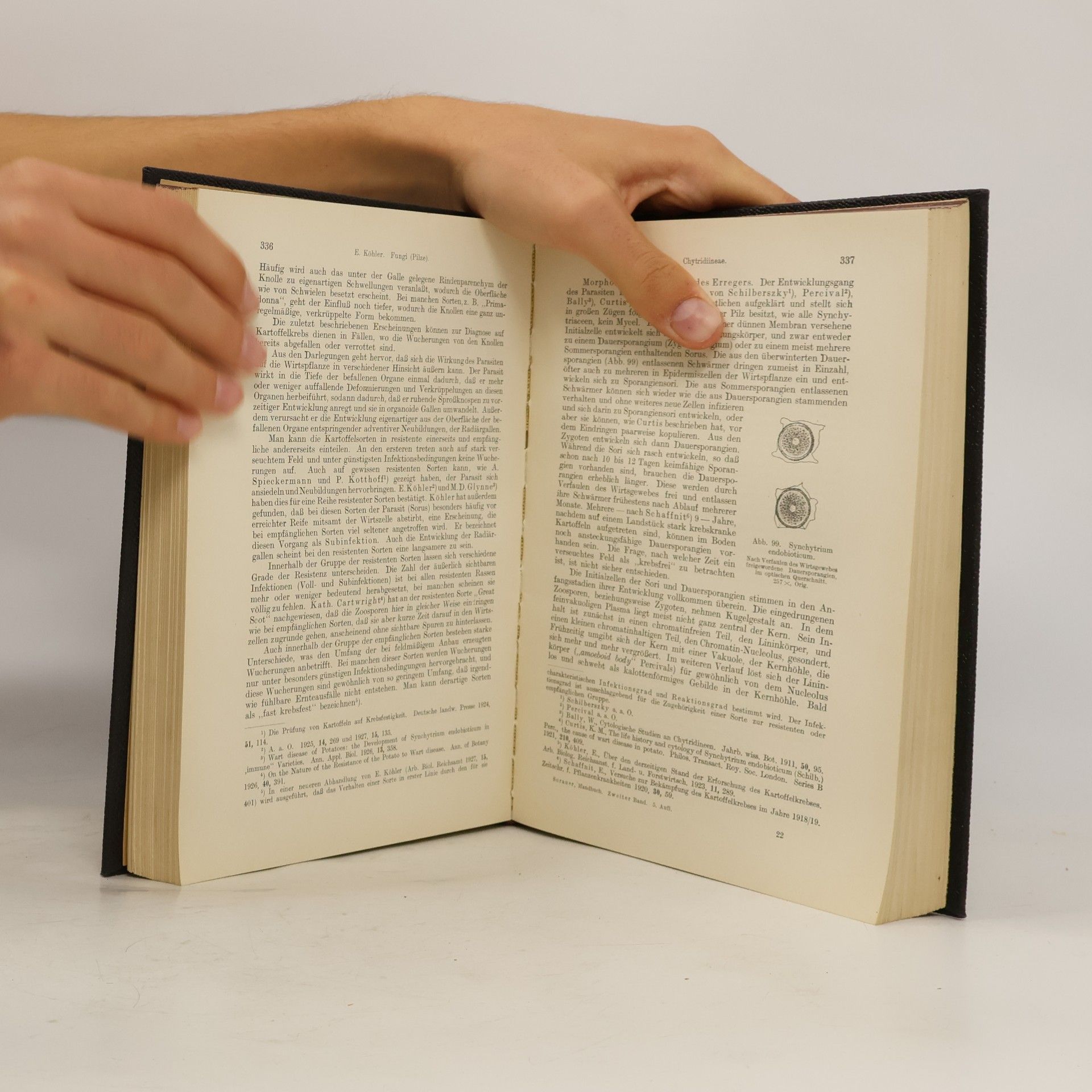 Paul Sorauer Handbuch der Pflanzenkrankheiten. Zweiter Band: Die pflanzlichen Parasiten (Erster Teil)