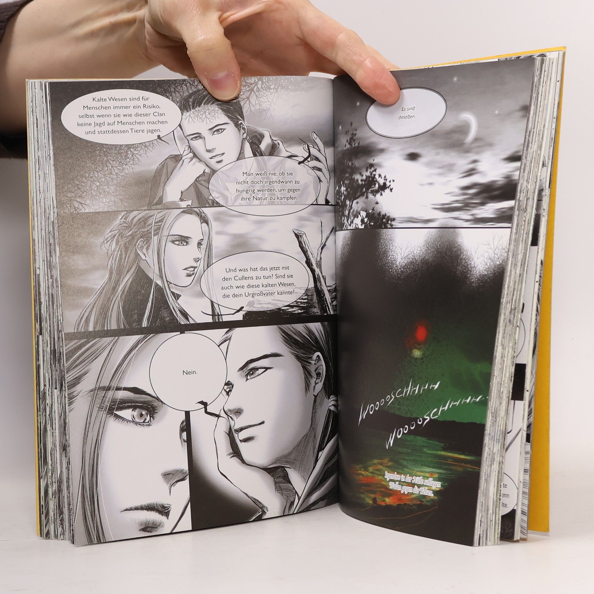 Twilight - Biss zum Morgengrauen