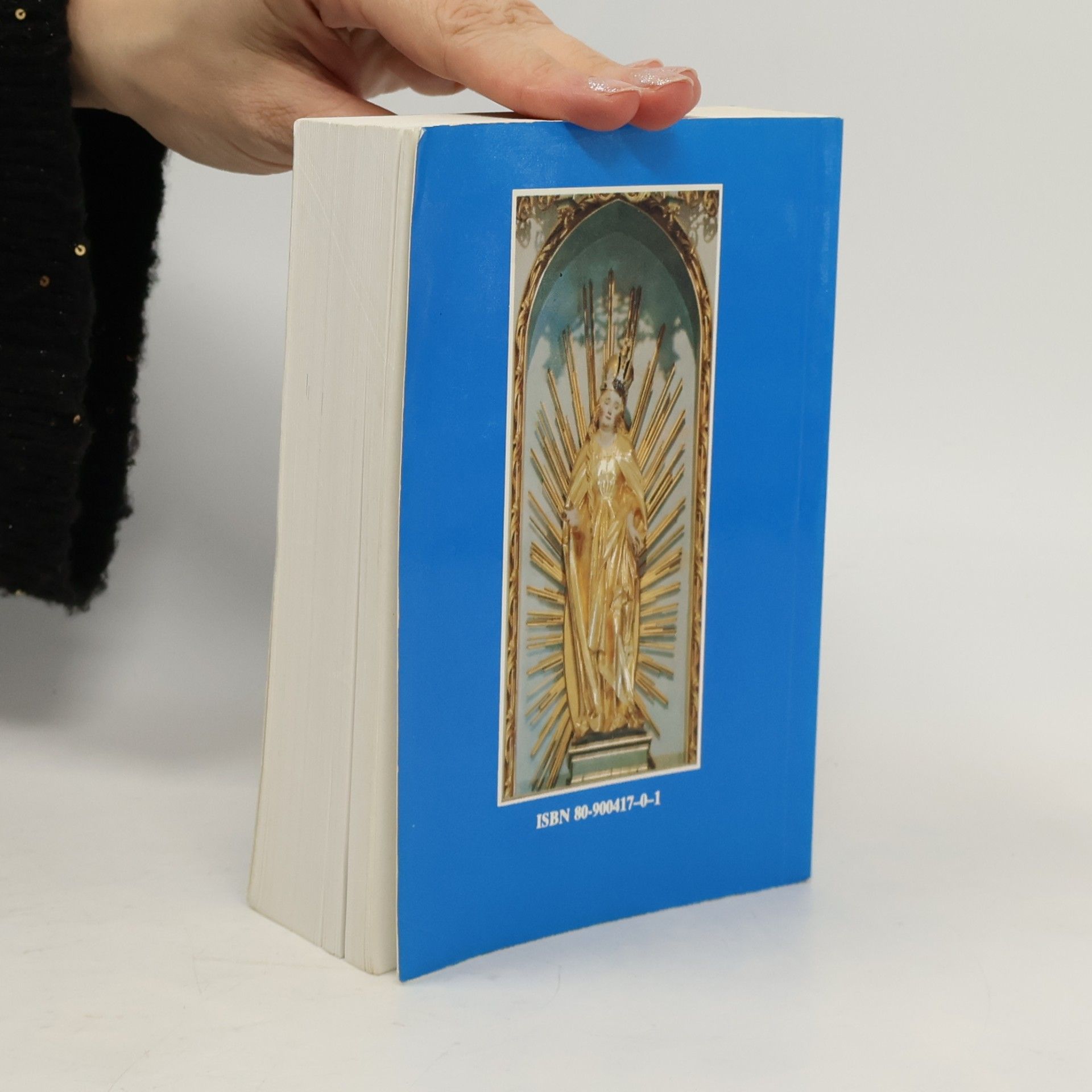 Autorenkollektiv Kňazom, najmilším synom Panny Márie