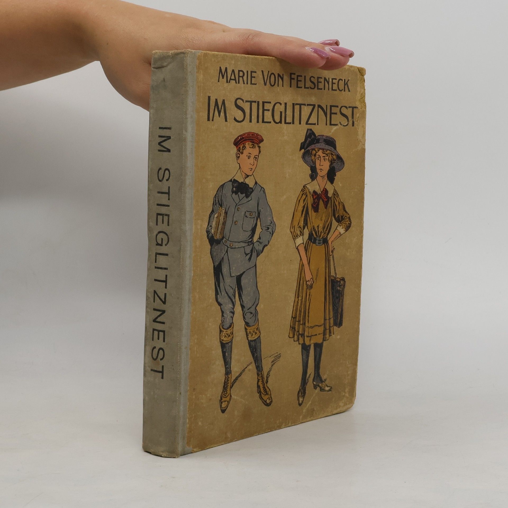 Marie Von Felseneck Im Stieglitznest