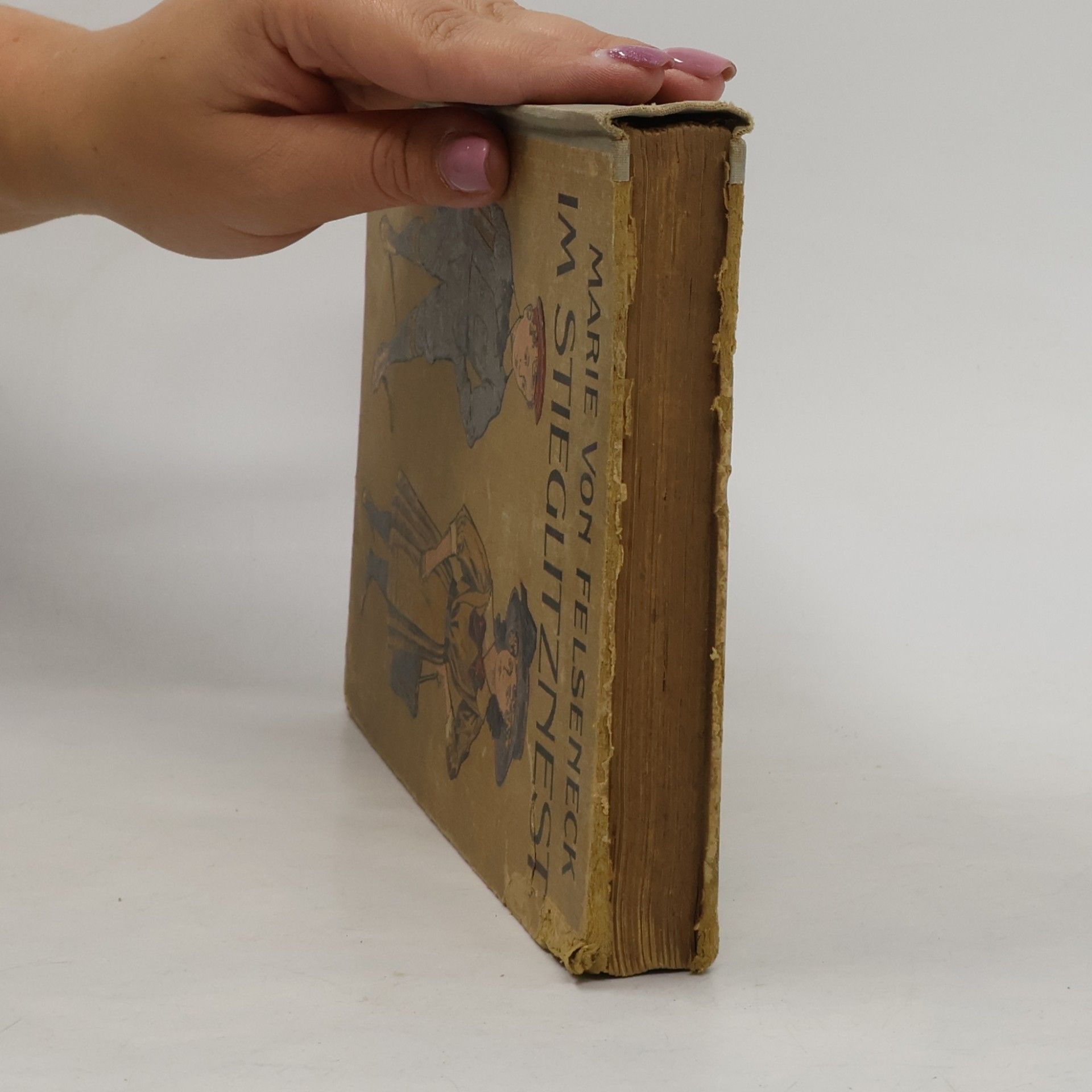 Marie Von Felseneck Im Stieglitznest