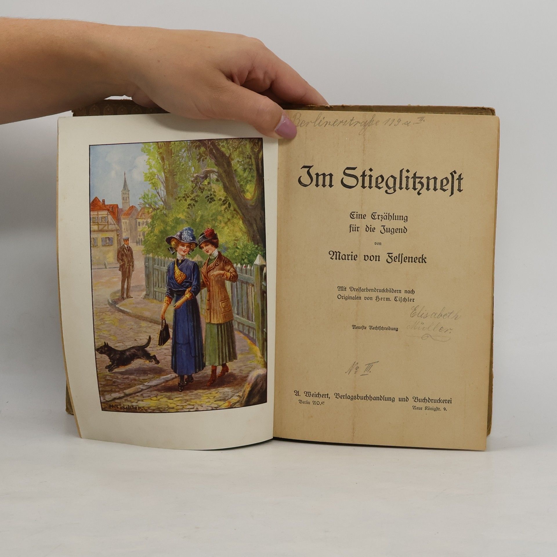 Marie Von Felseneck Im Stieglitznest