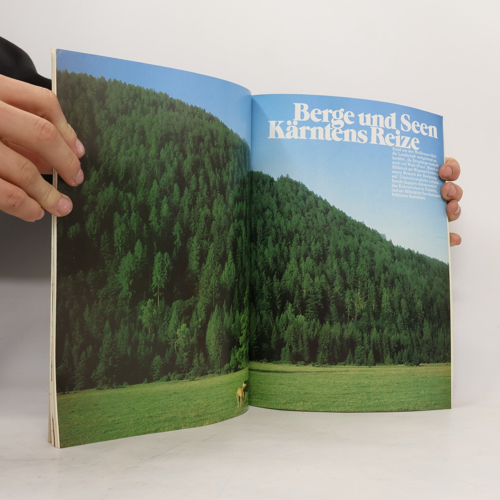 Autorenkollektiv Bild Atlas 33. Kärnten
