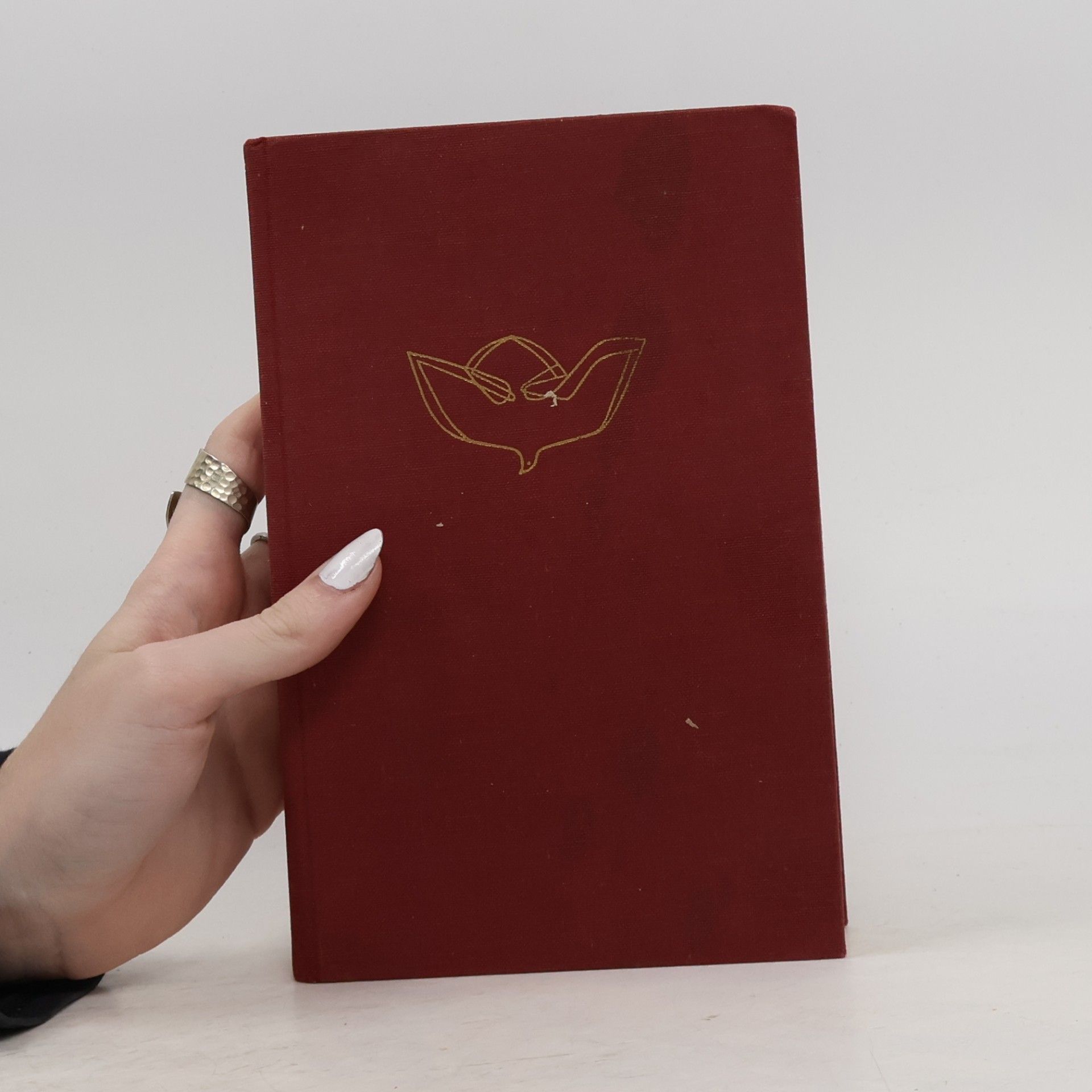 Autorenkollektiv Katholische Schulbibel