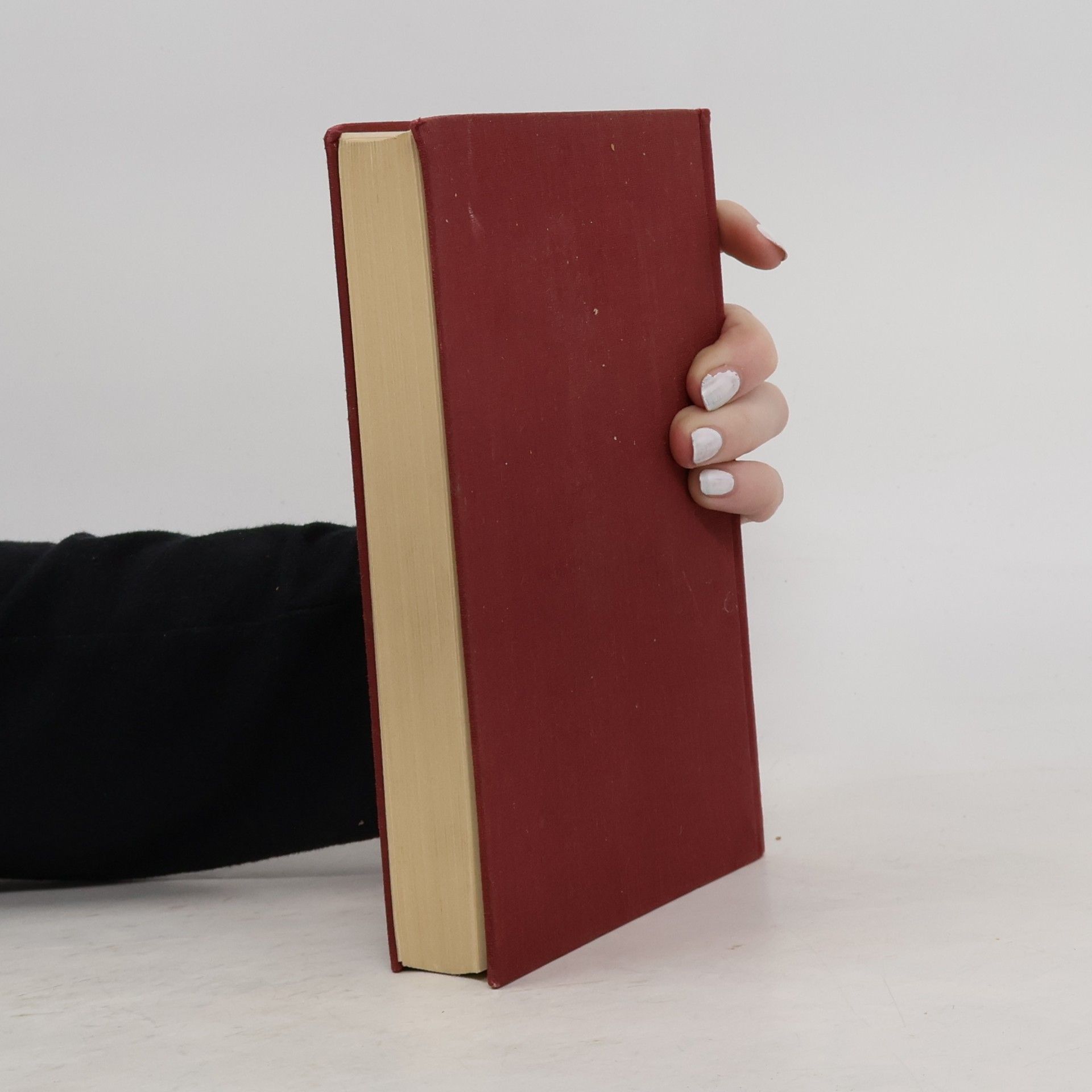 Autorenkollektiv Katholische Schulbibel