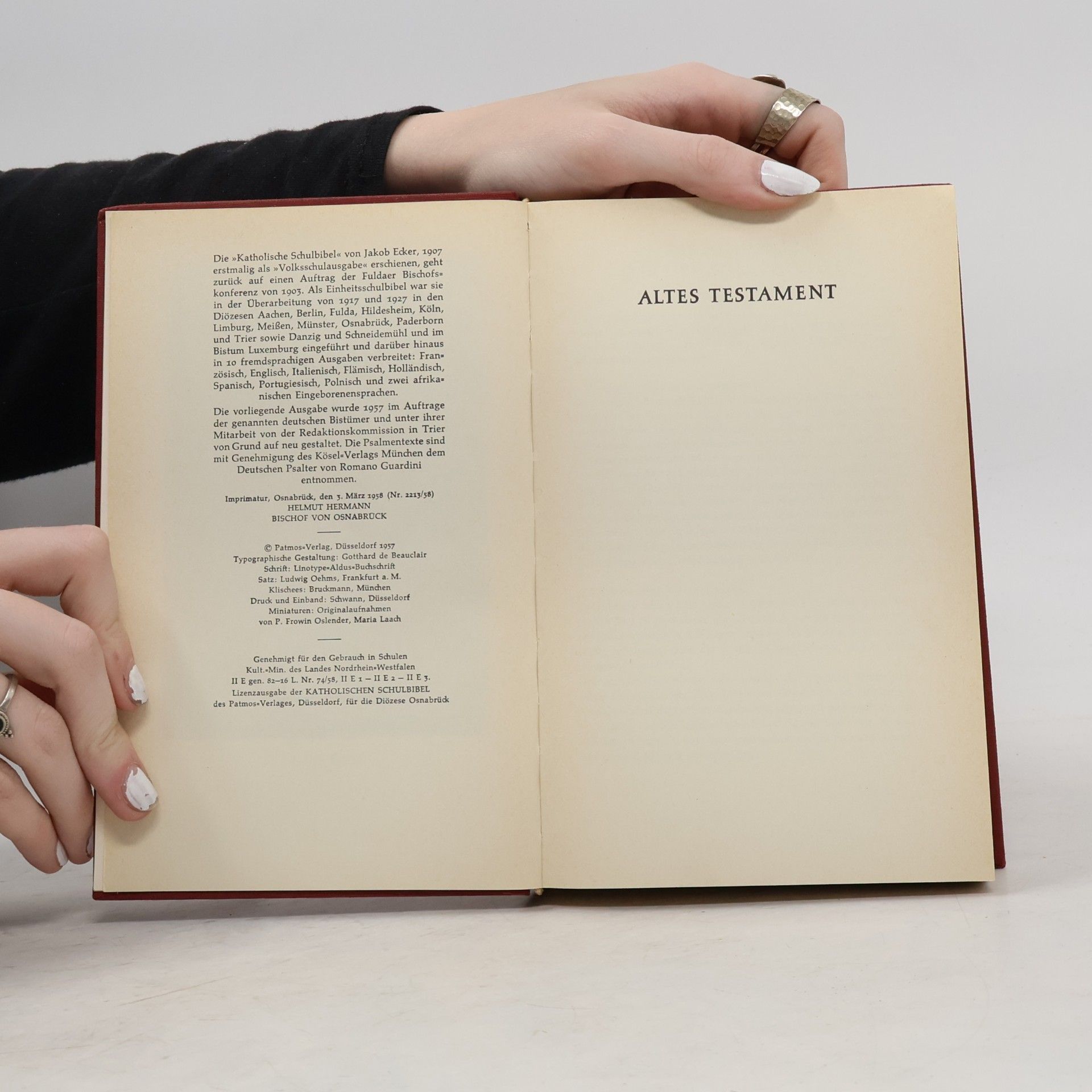 Autorenkollektiv Katholische Schulbibel