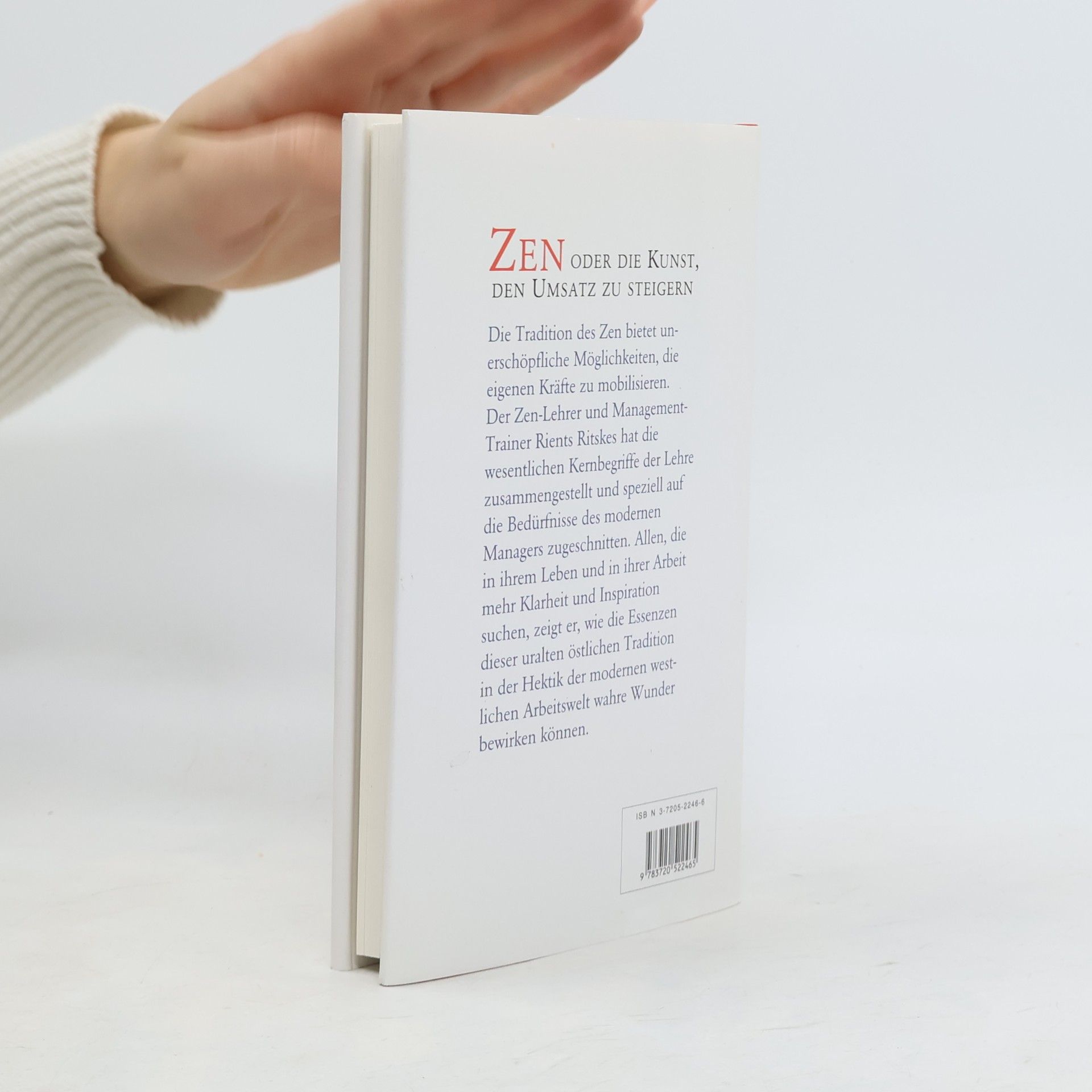 Rients R. Ritskes Der ZenManager