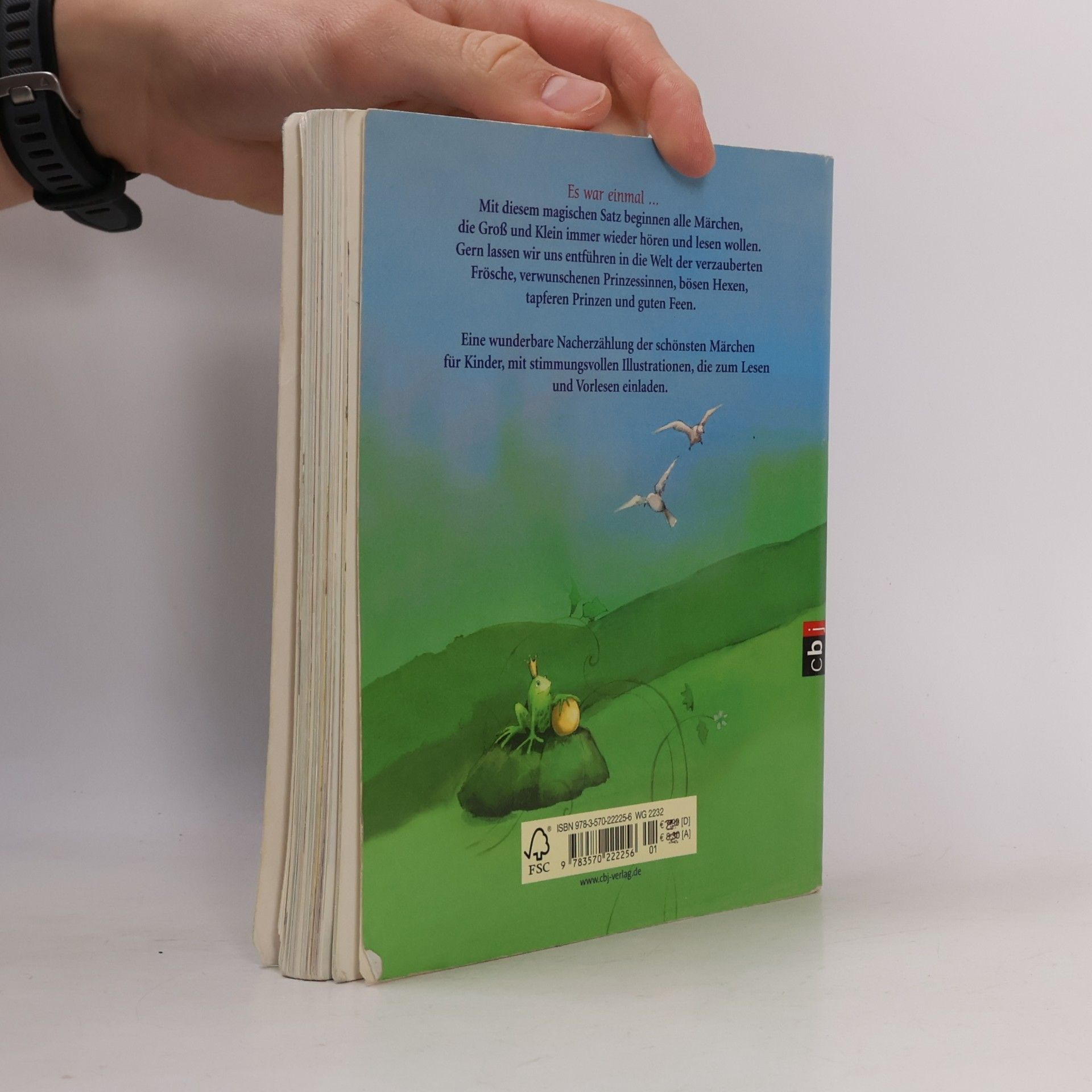 Ursel Scheffler Meine Lieblingsmärchen
