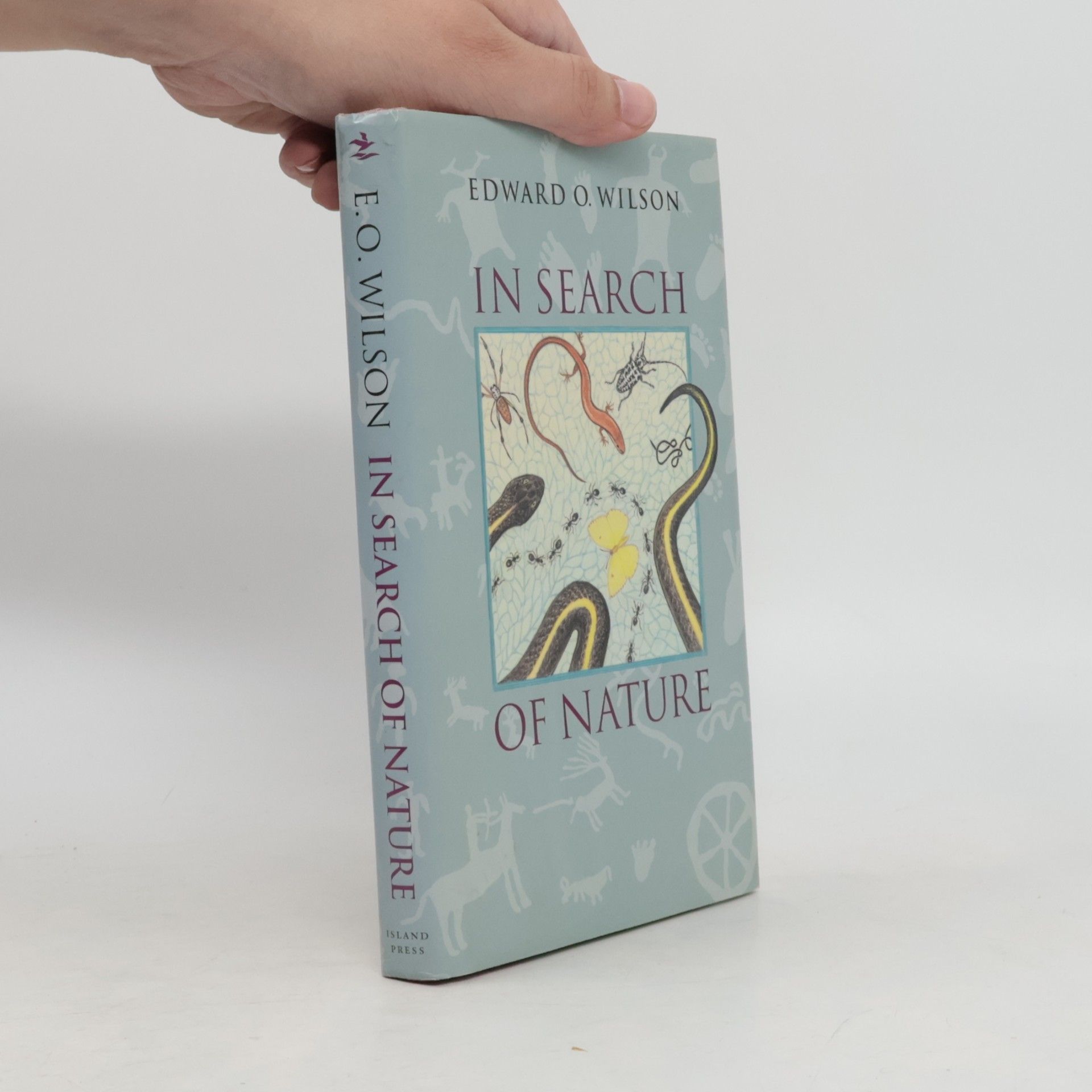 Laura Simonds Southworth In Search of Nature