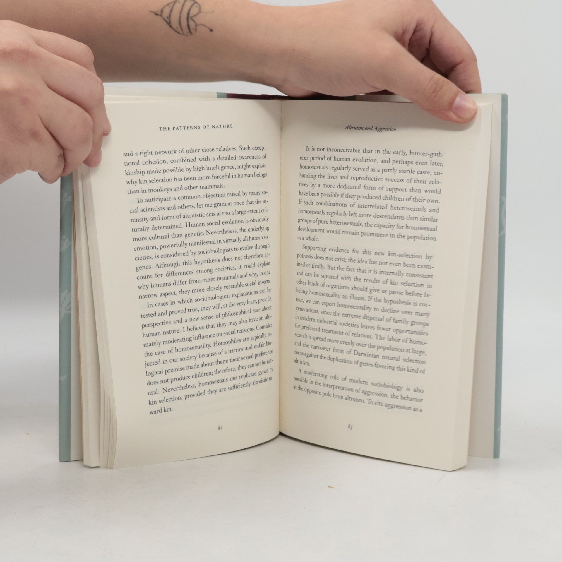 Laura Simonds Southworth In Search of Nature