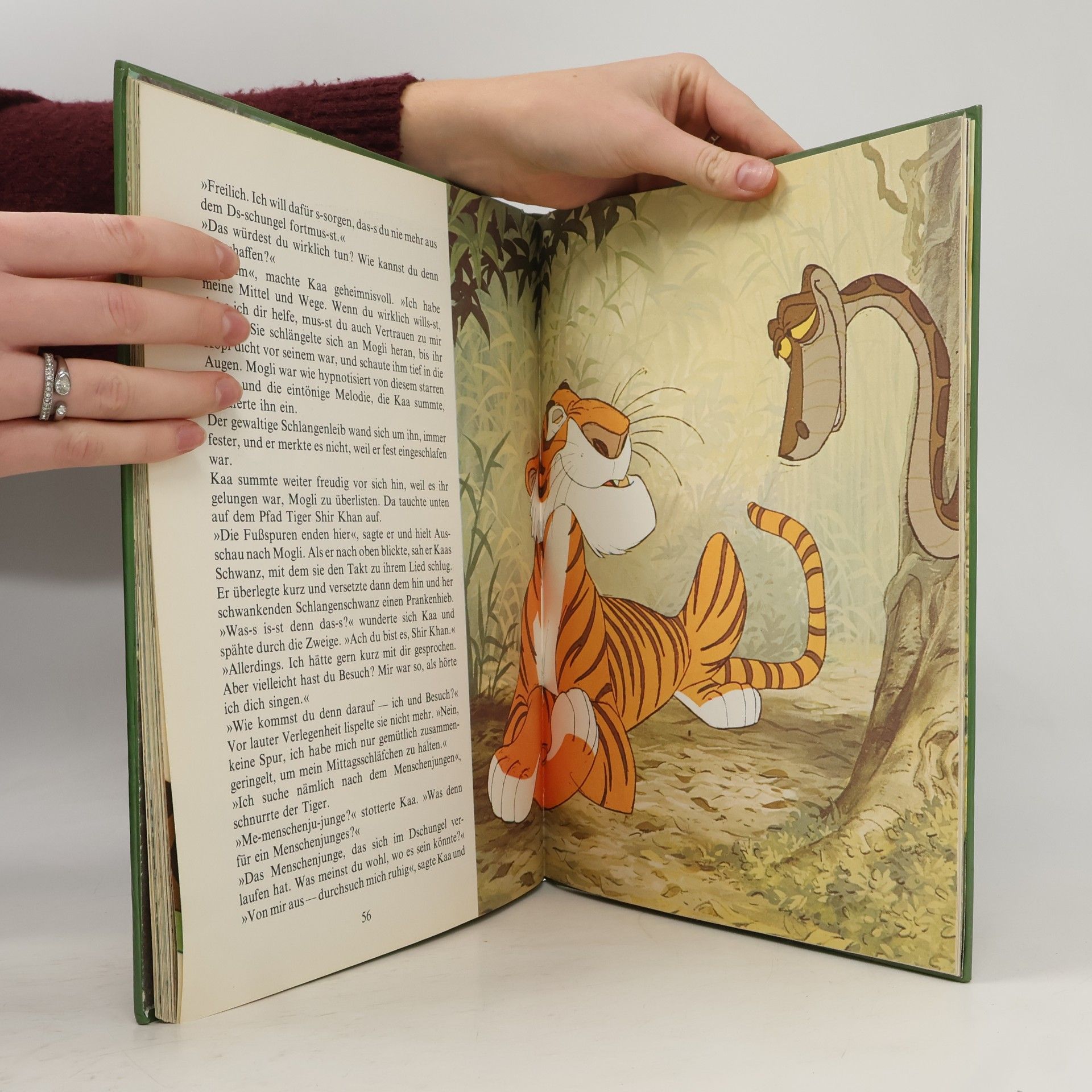 L. Julius Das Dschungel Buch