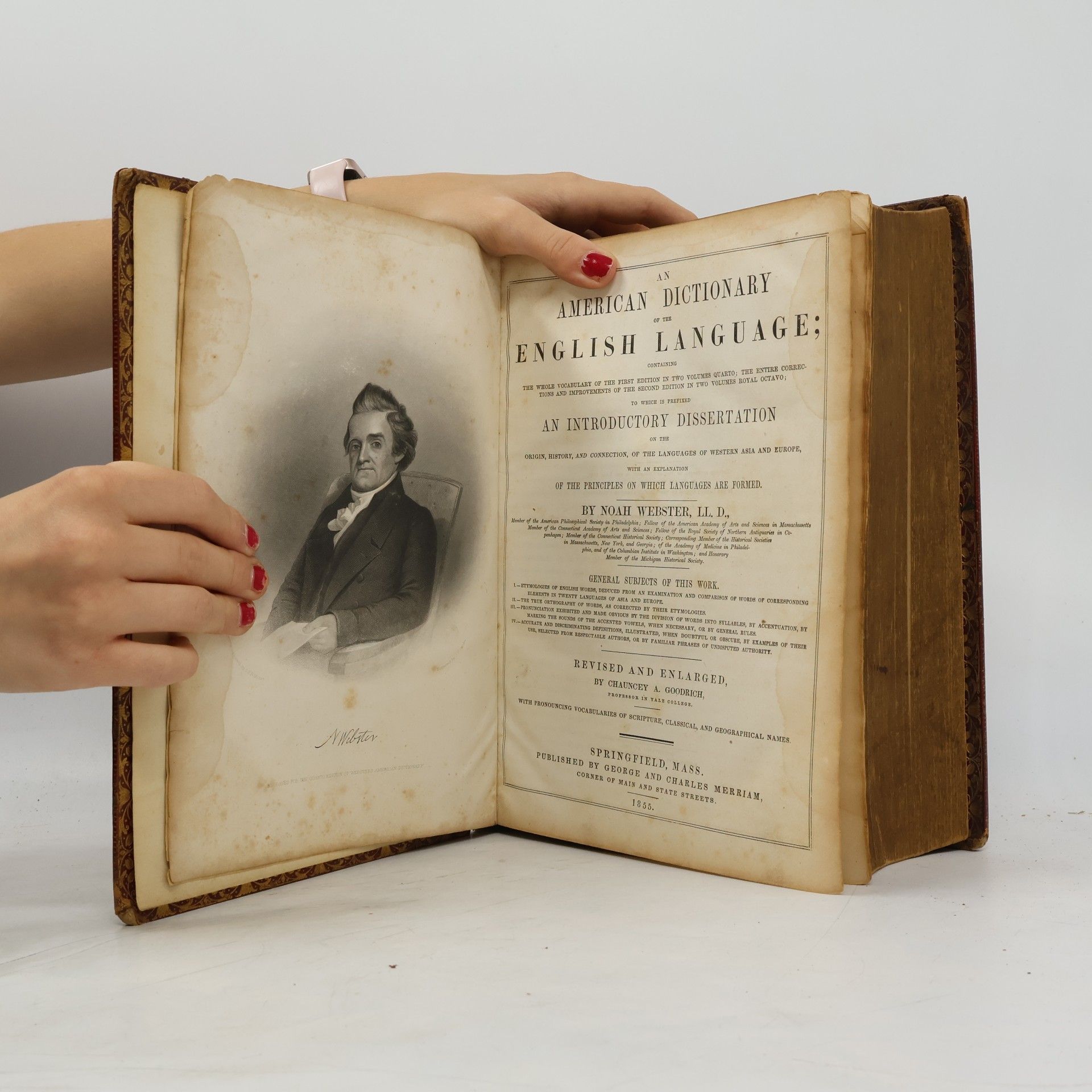 Noah Webster Webster's Dictionary