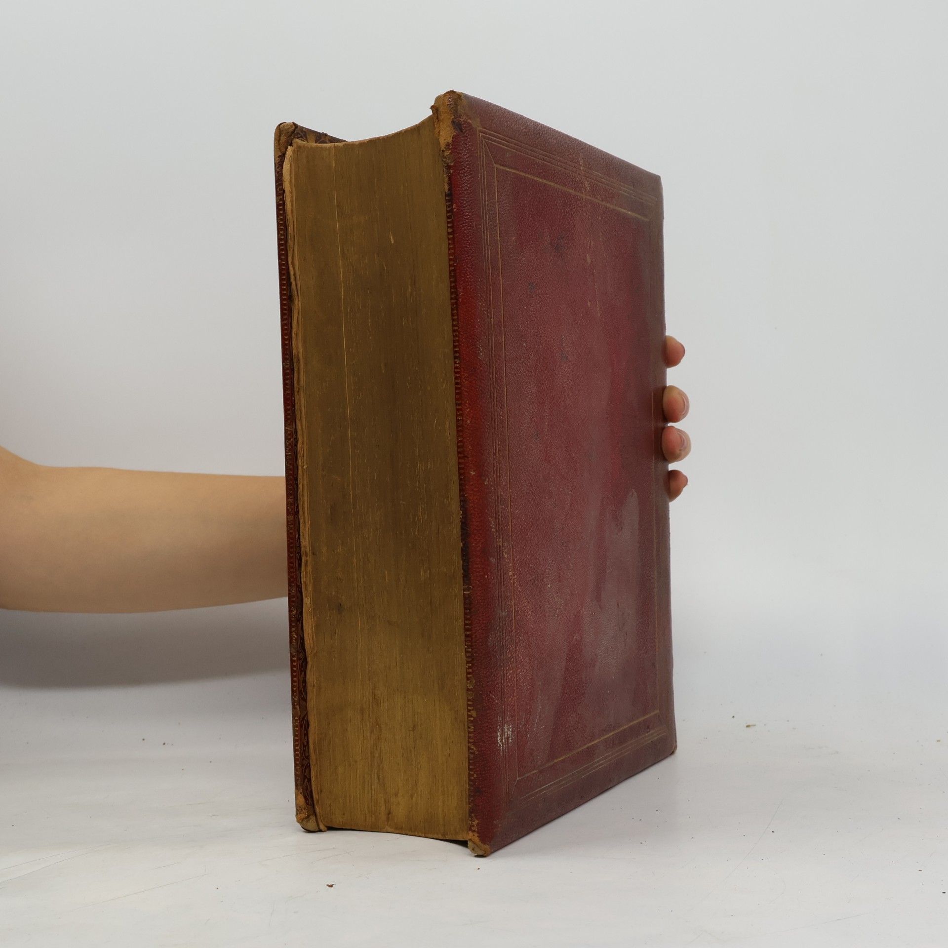 Noah Webster Webster's Dictionary