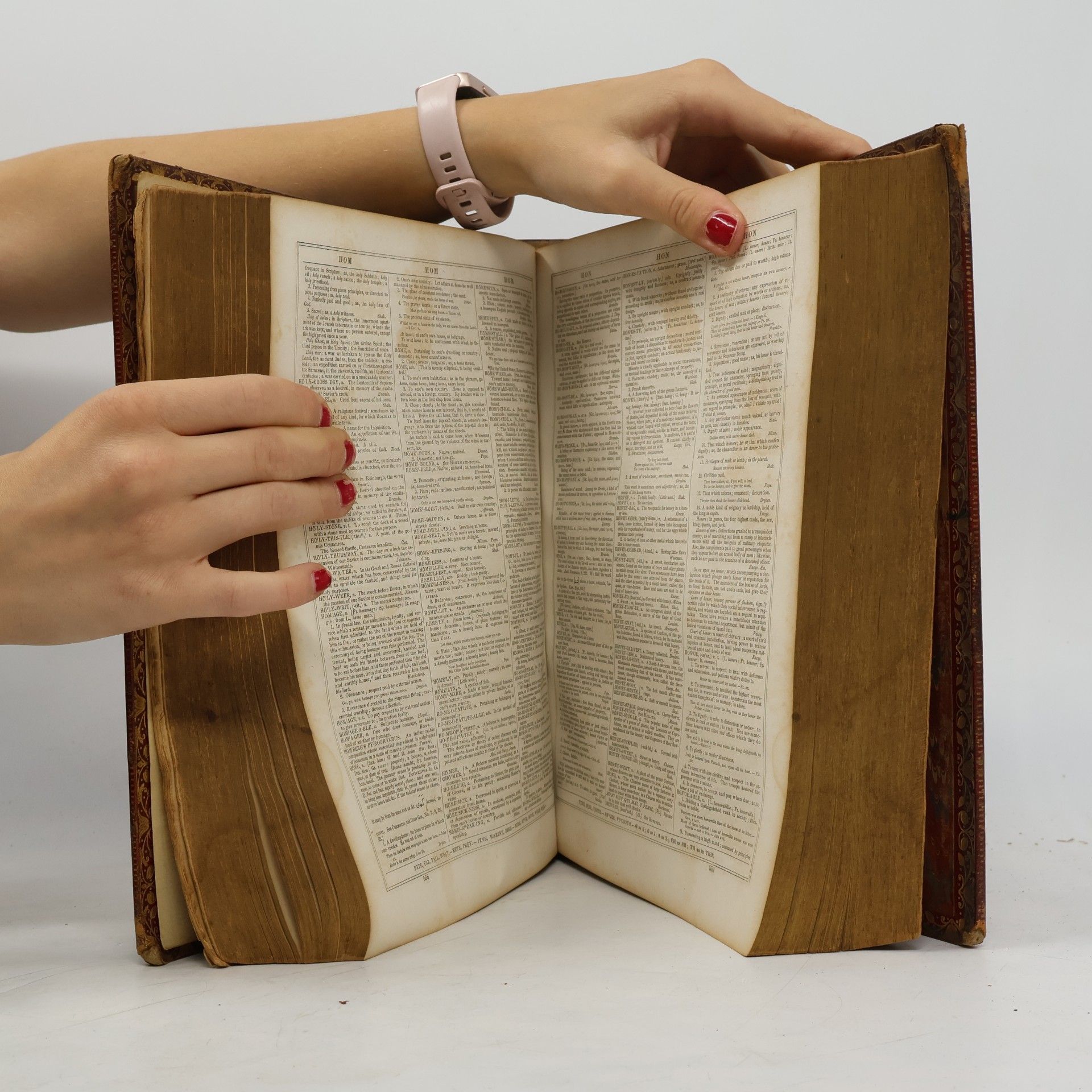 Noah Webster Webster's Dictionary