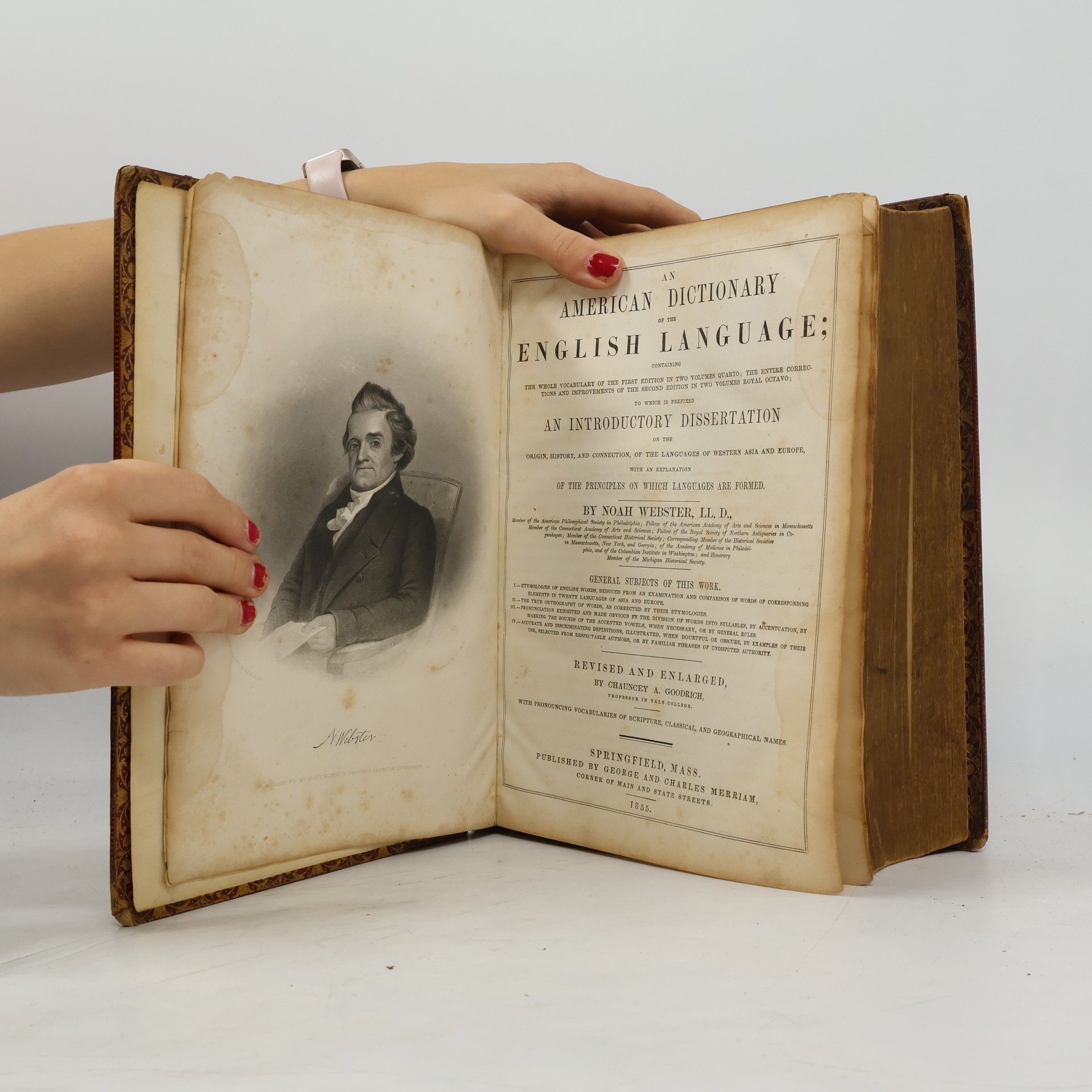 Noah Webster Webster's Dictionary