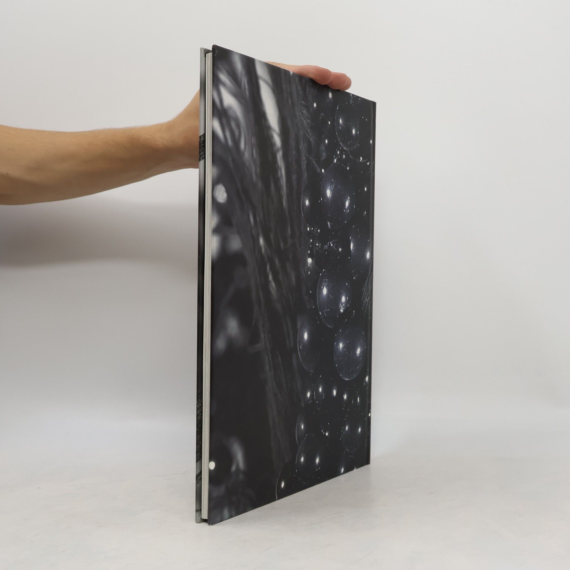 Marya Kazoun La Biennale di Venezia: Personal Living Space