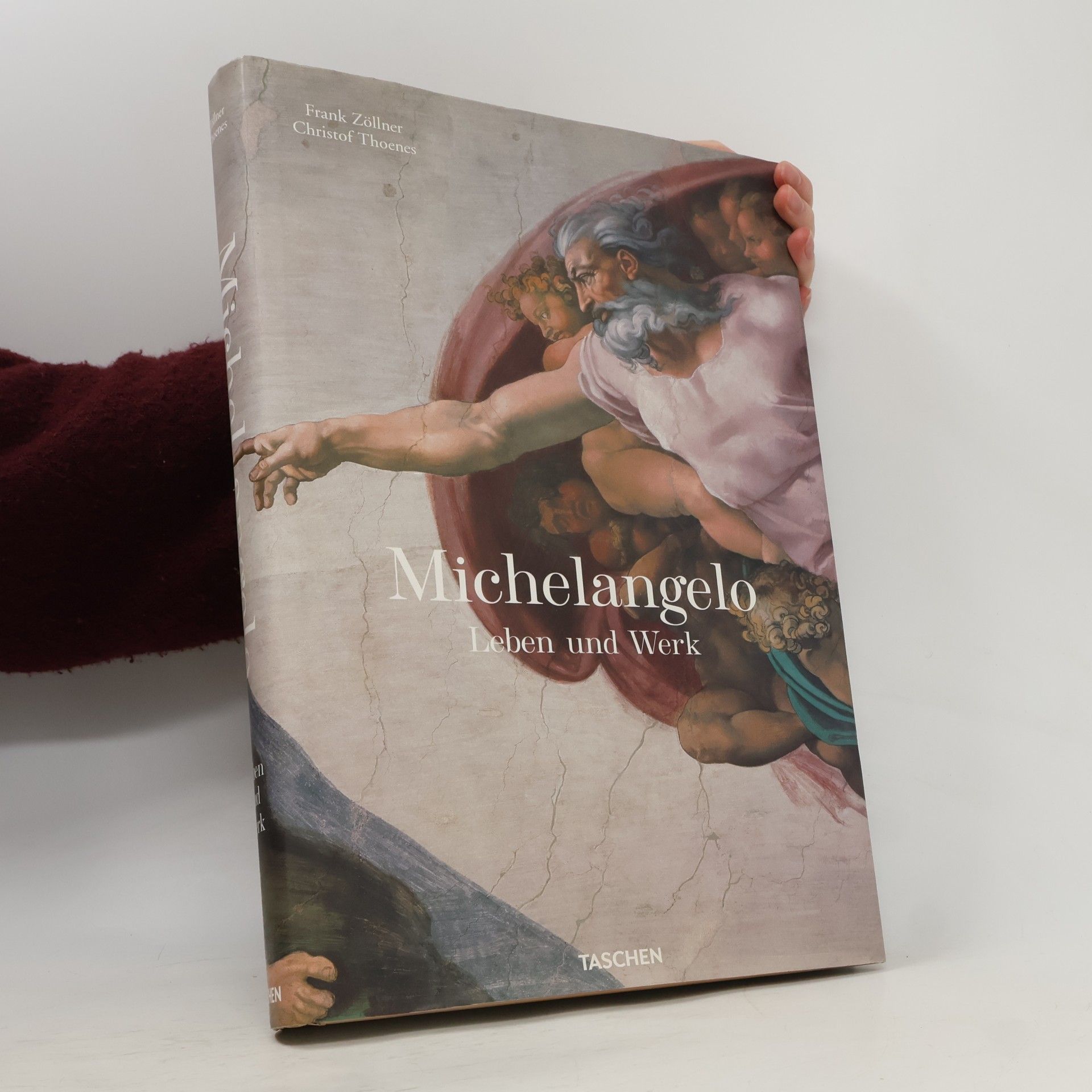Michelangelo Leben und Werk
