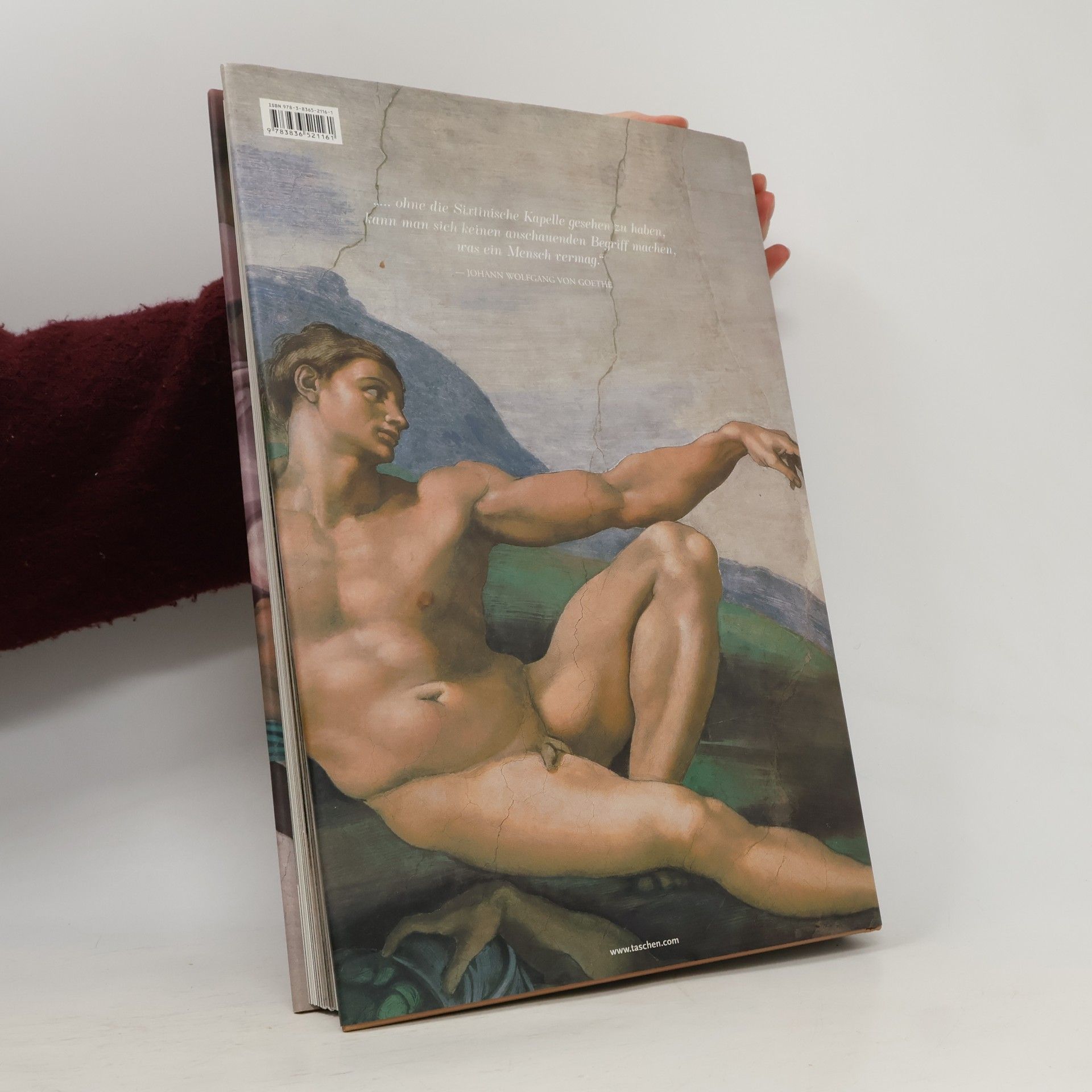 Frank Zöllner Michelangelo Leben und Werk