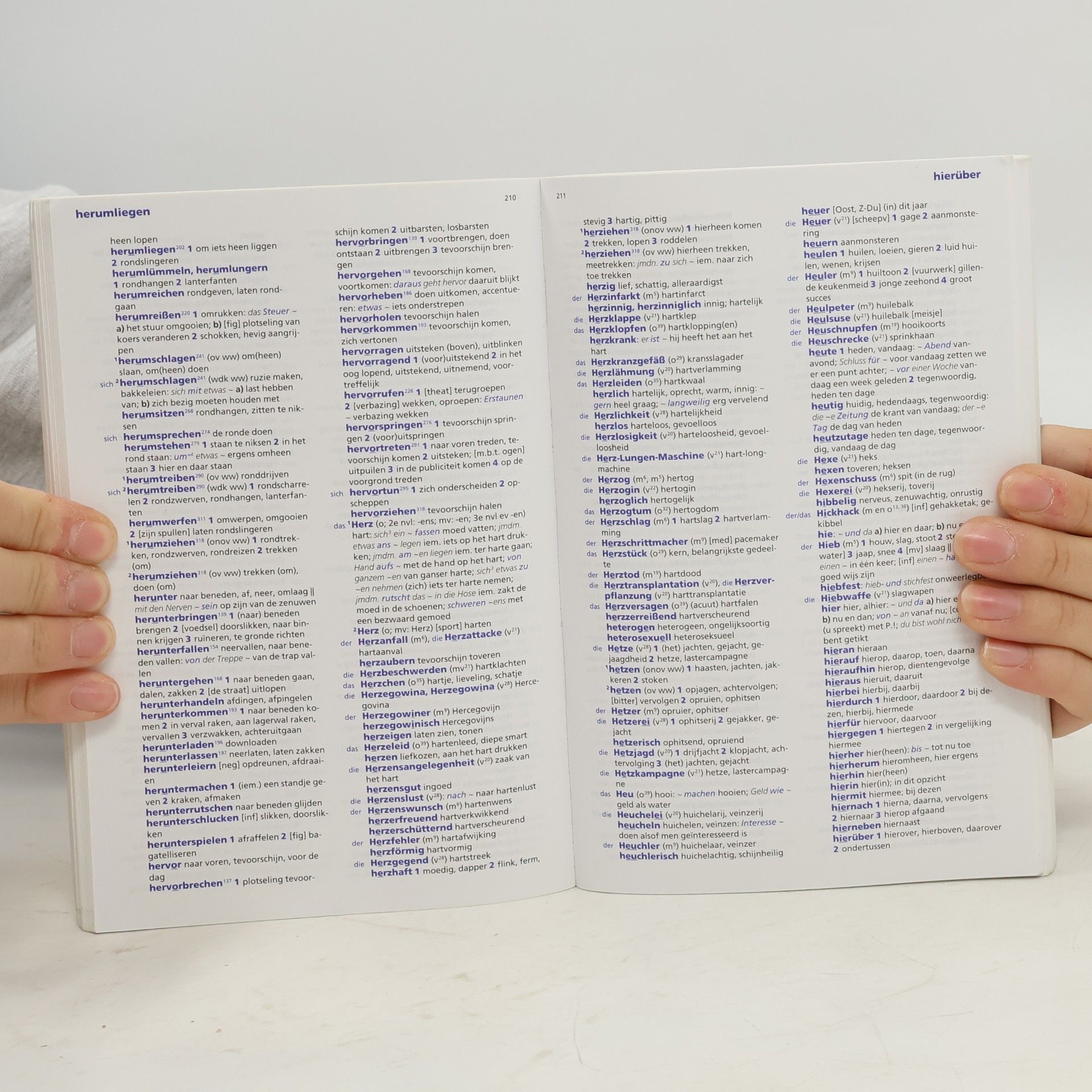 J. V. Zambon Van Dale pocketwoordenboek Duits - Nederlands
