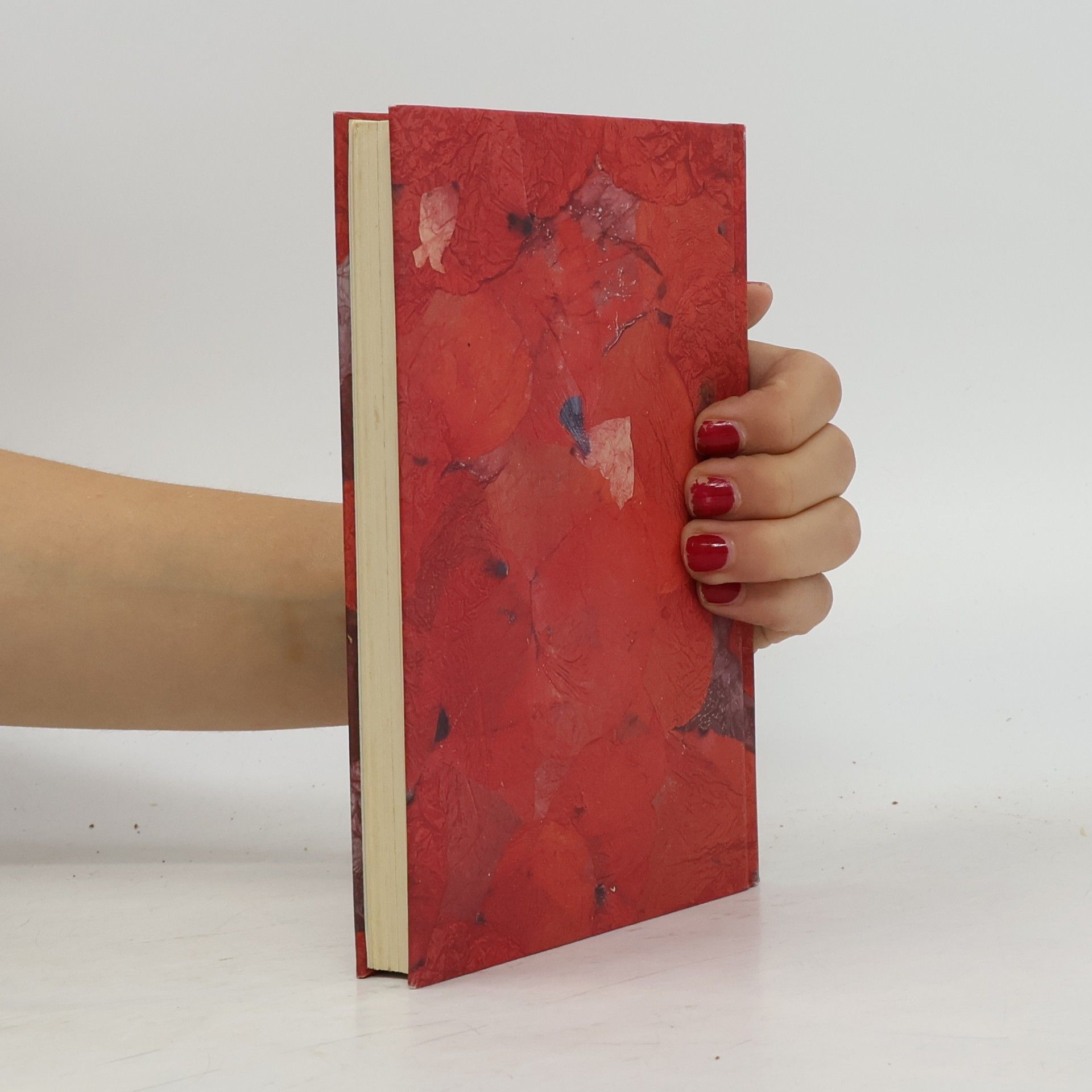 Virginia Woolf Der Suchscheinwerfer