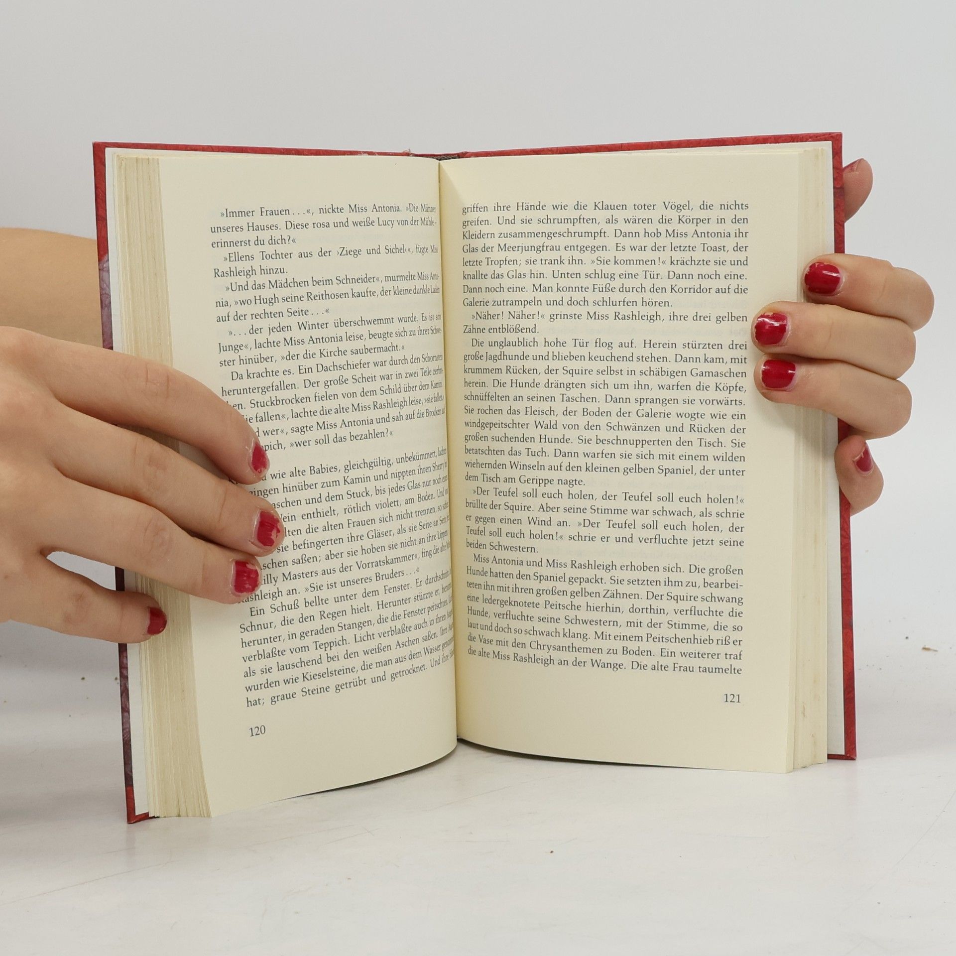 Virginia Woolf Der Suchscheinwerfer