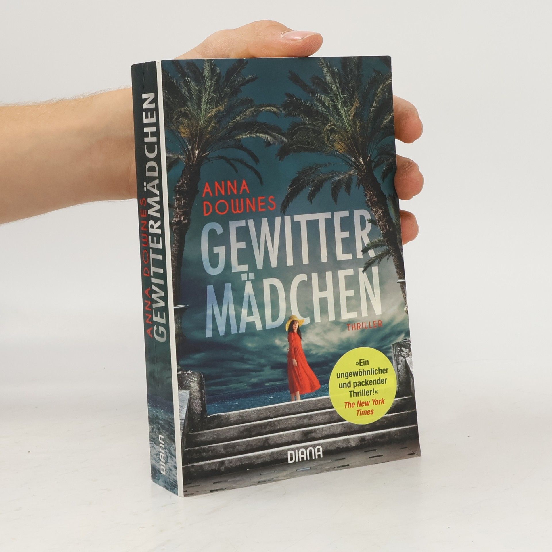 Anna Downes Gewittermädchen