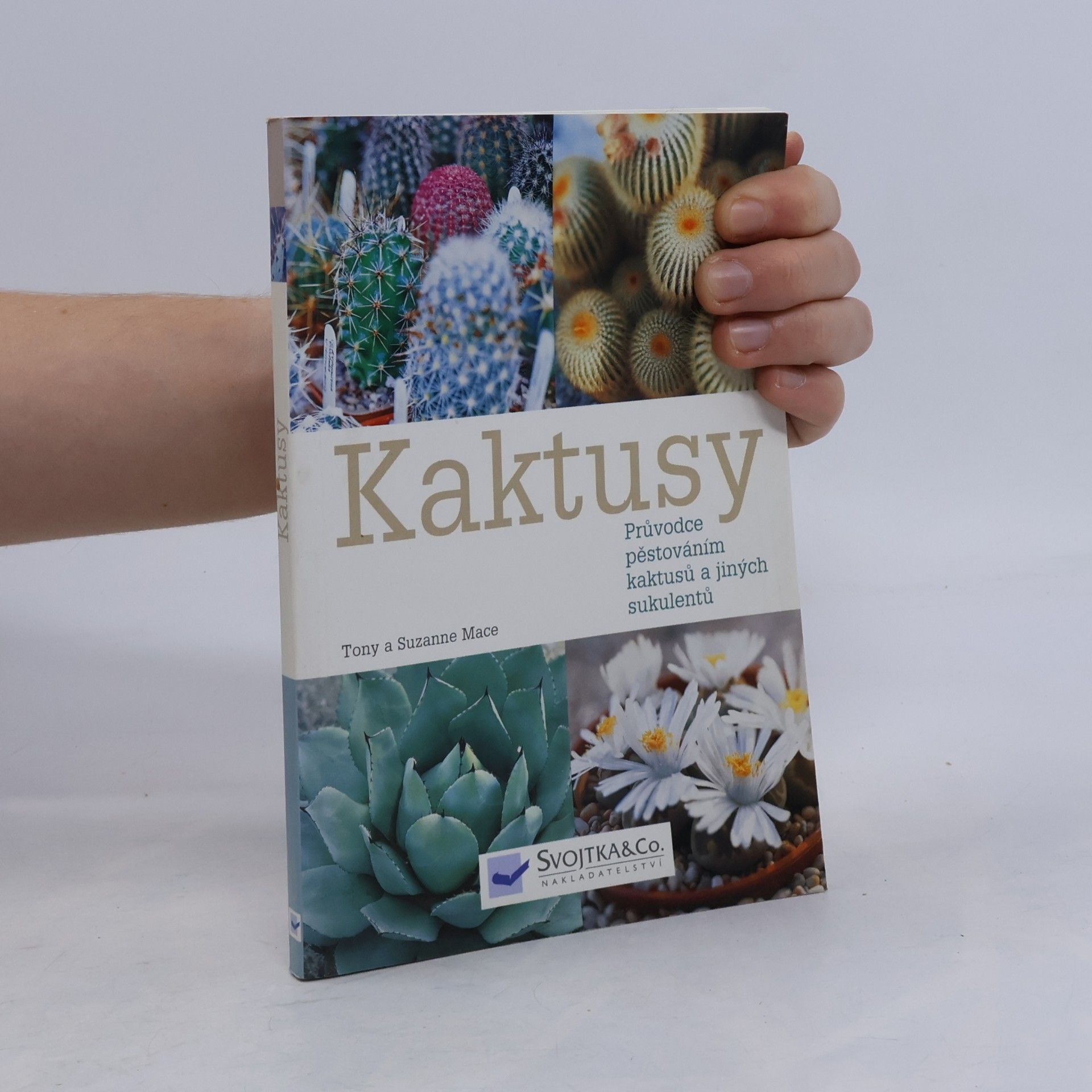 Kaktusy : průvodce pěstováním kaktusů a jiných sukulentů