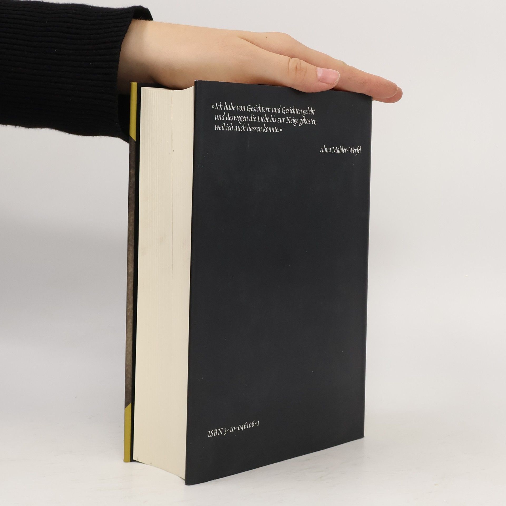 Alma Mahler-Werfel Tagebuch-Suiten