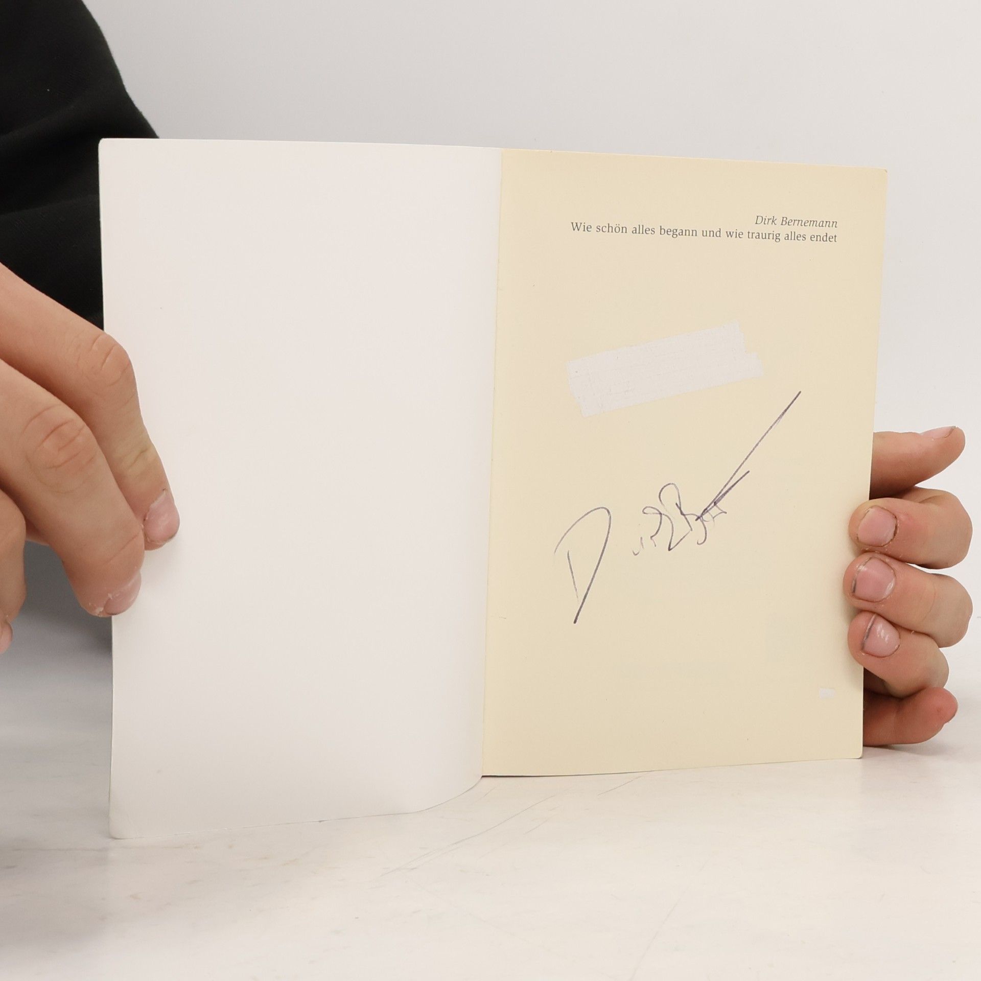 Dirk Bernemann Wie schön alles begann und wie traurig alles endet
