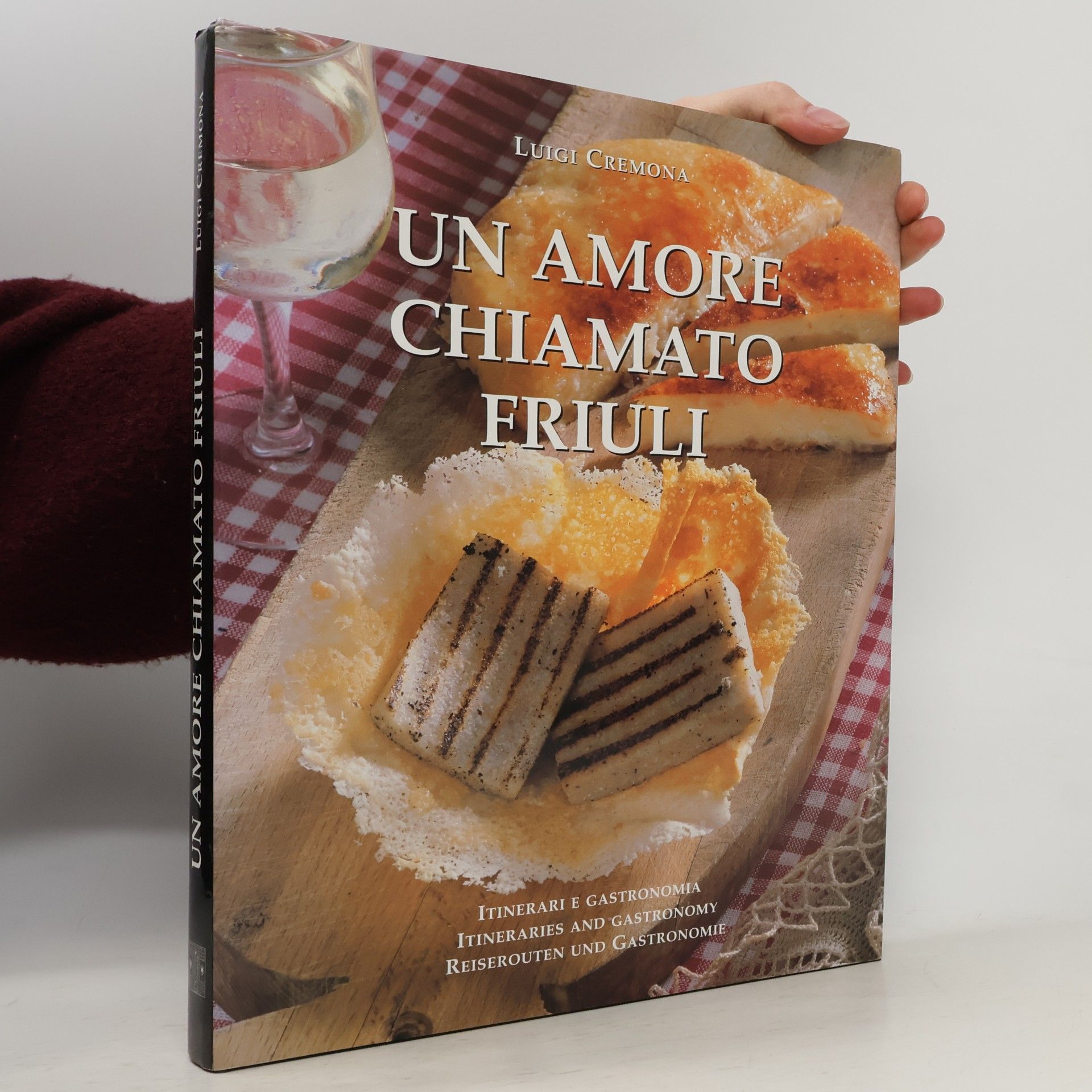 Luigi Cremona Un amore chiamato friuli