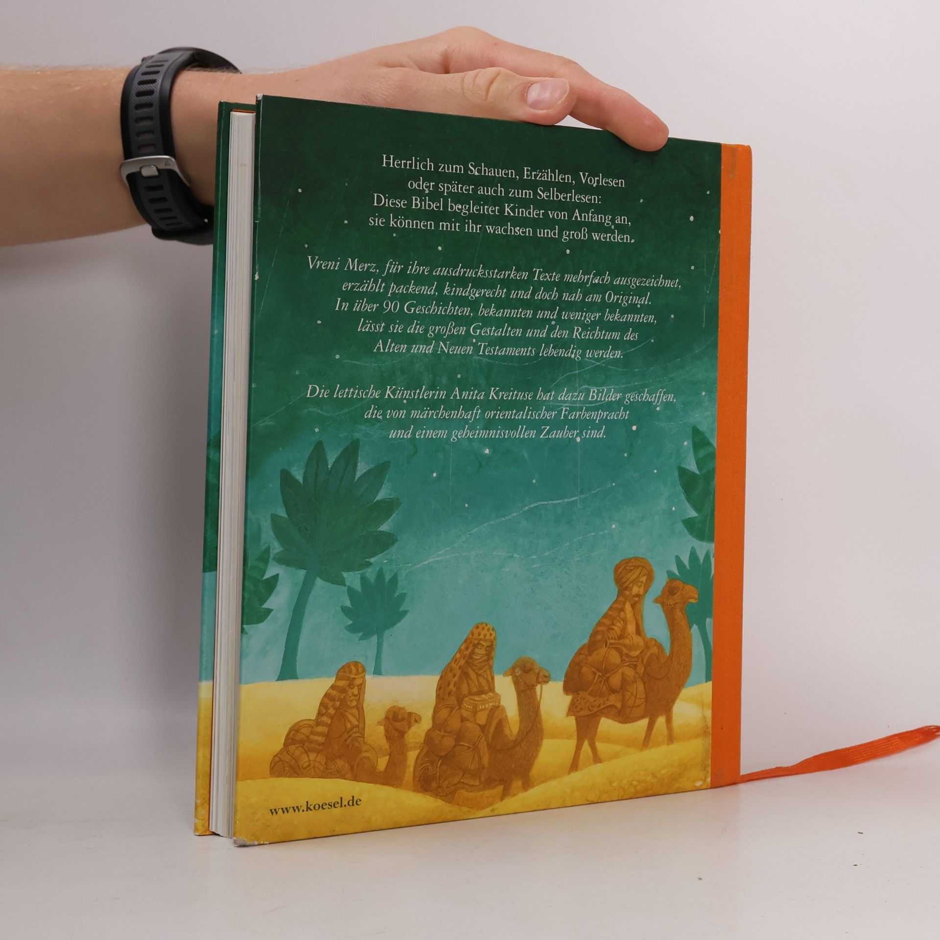 Vreni Merz Große Bibel für kleine Leute