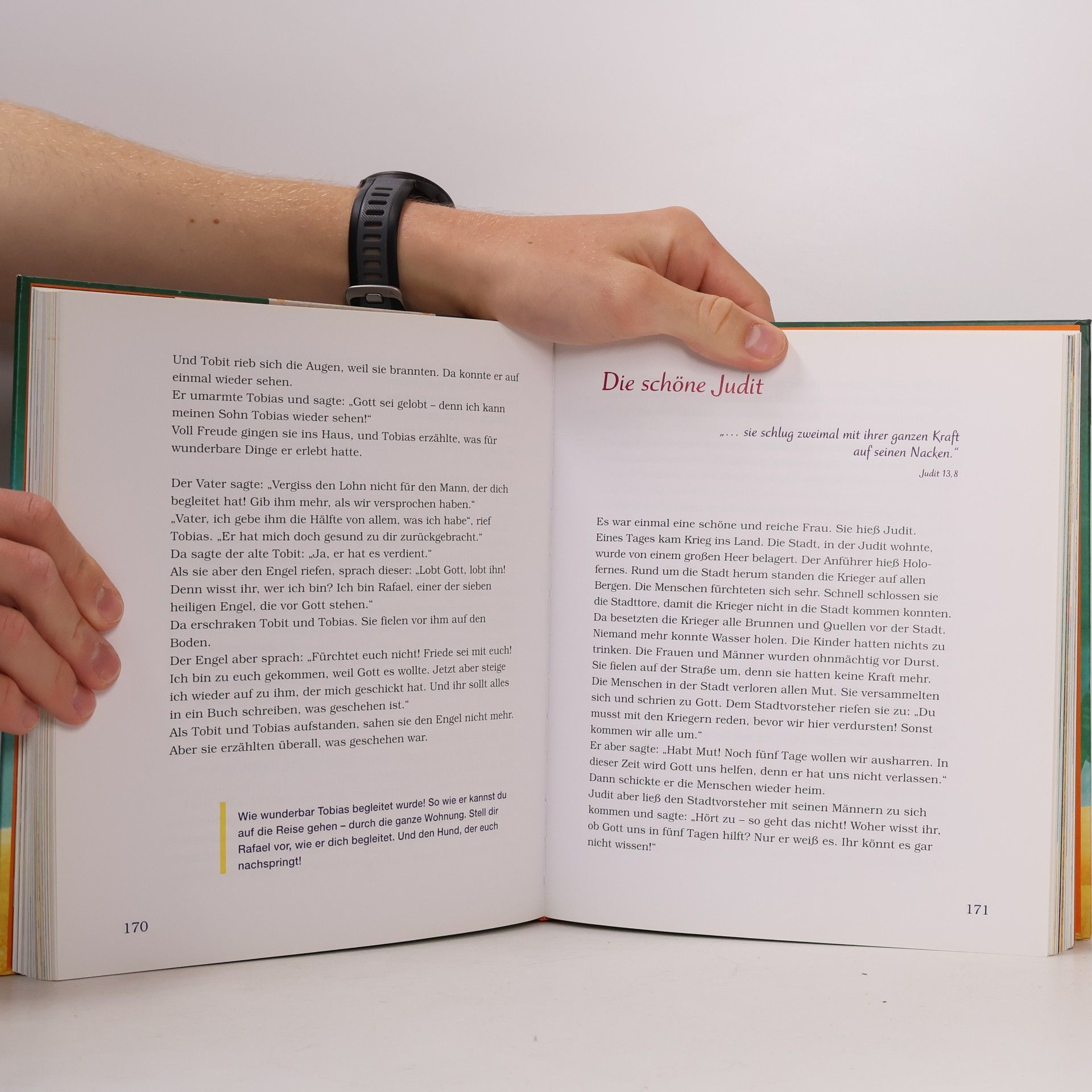 Vreni Merz Große Bibel für kleine Leute