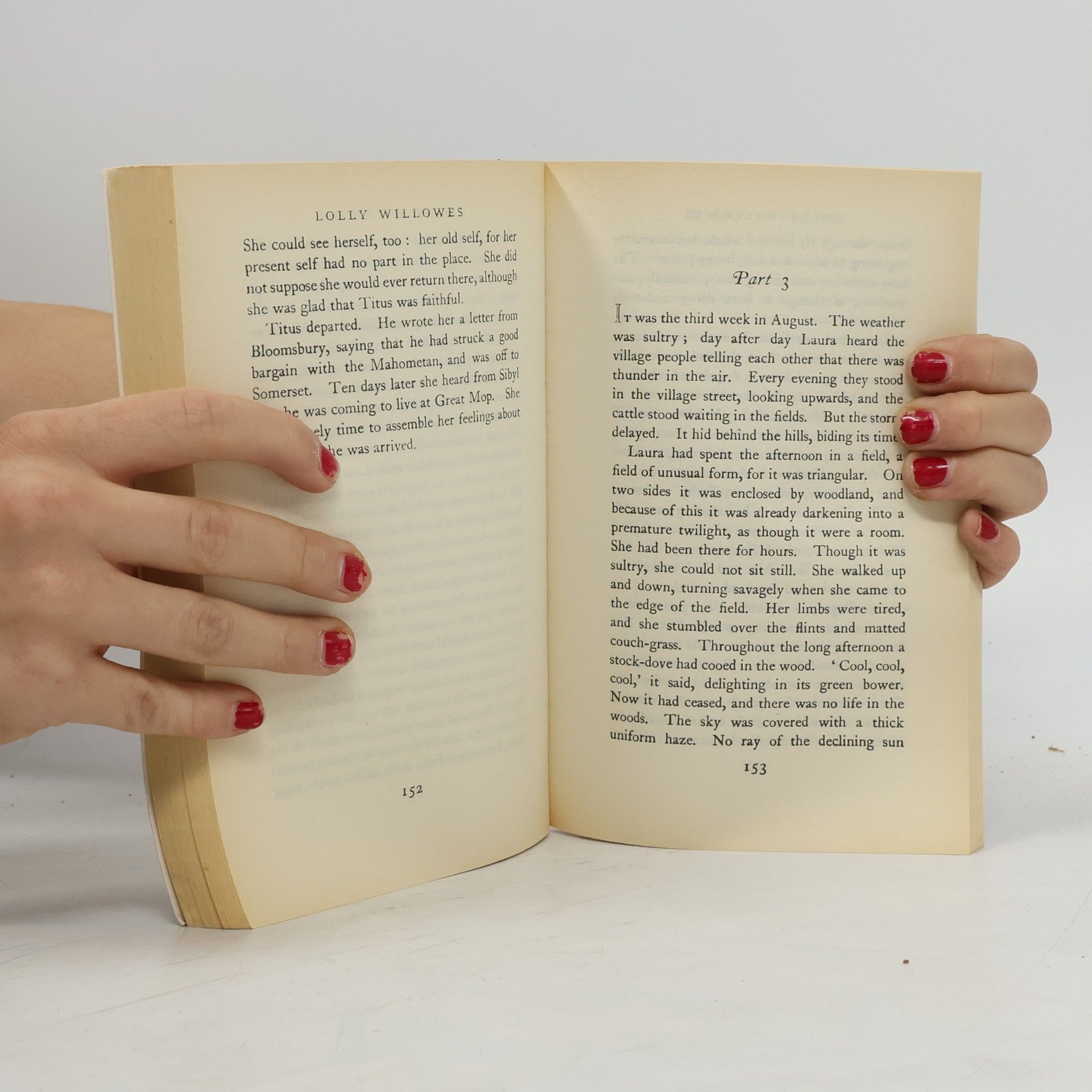 Sylvia Townsend Warner Virago Modern Classics: Lolly Willowes