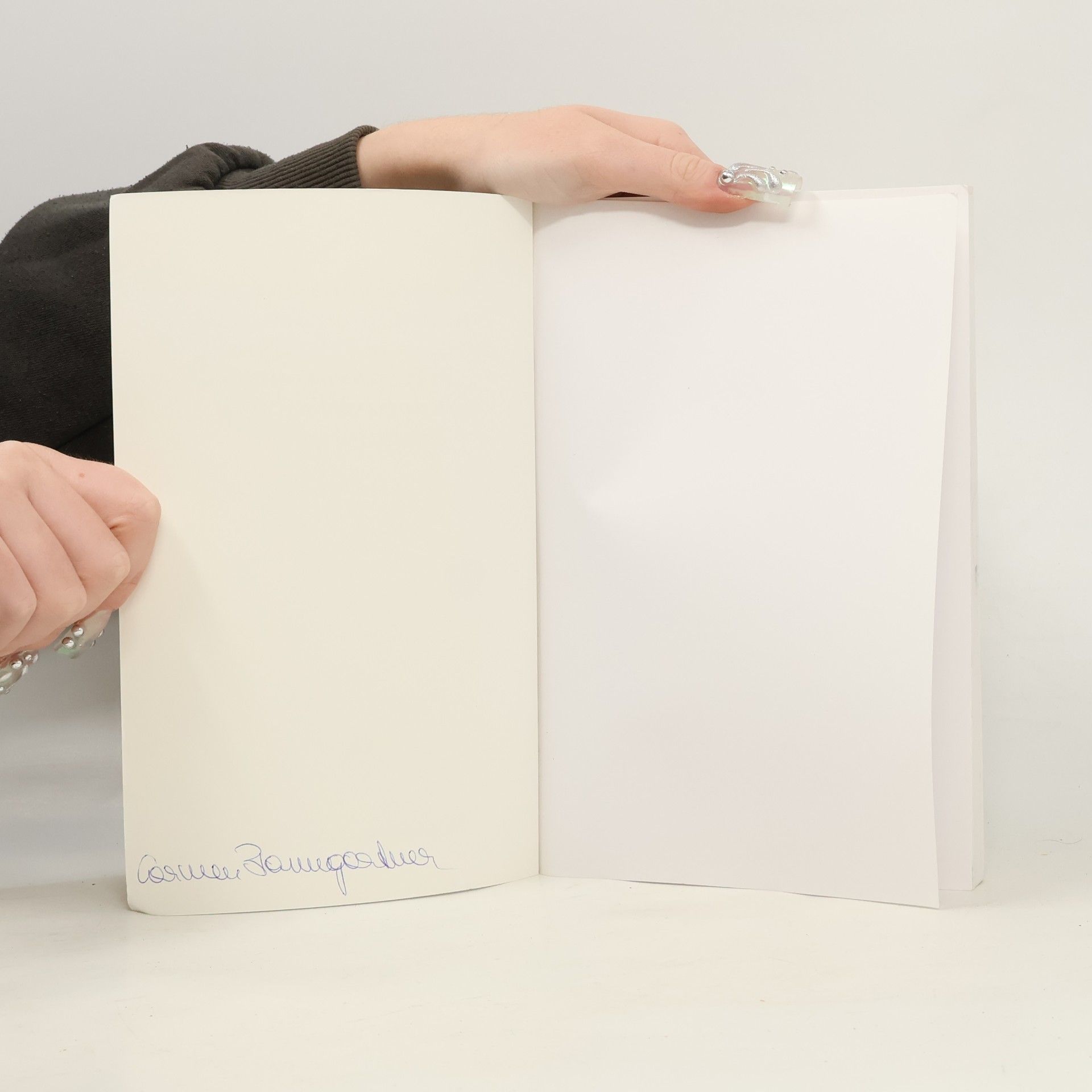 Richard Shusterman Passagen Philosophie: Vor der Interpretation