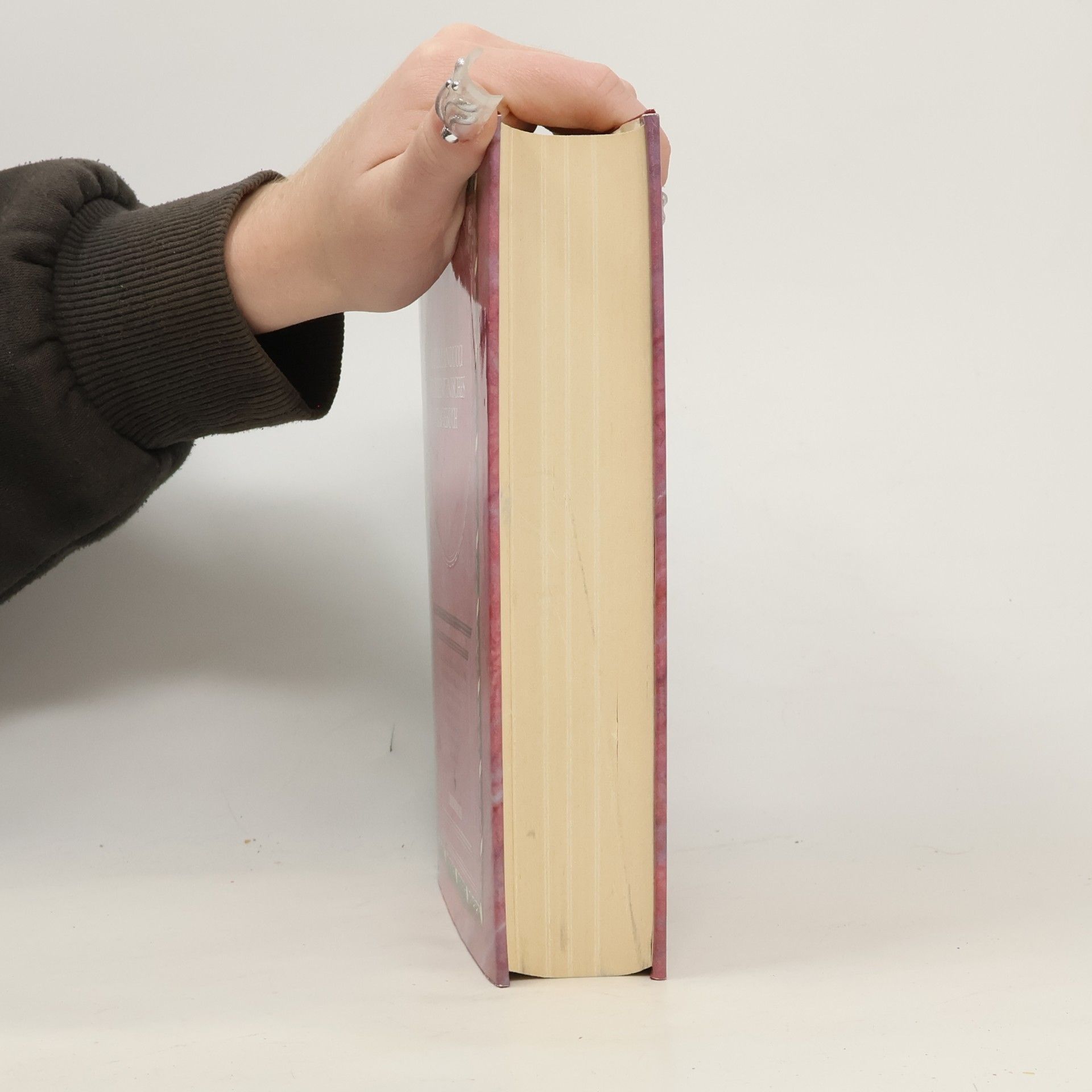 Luca Landucci Ein florentinisches Tagebuch