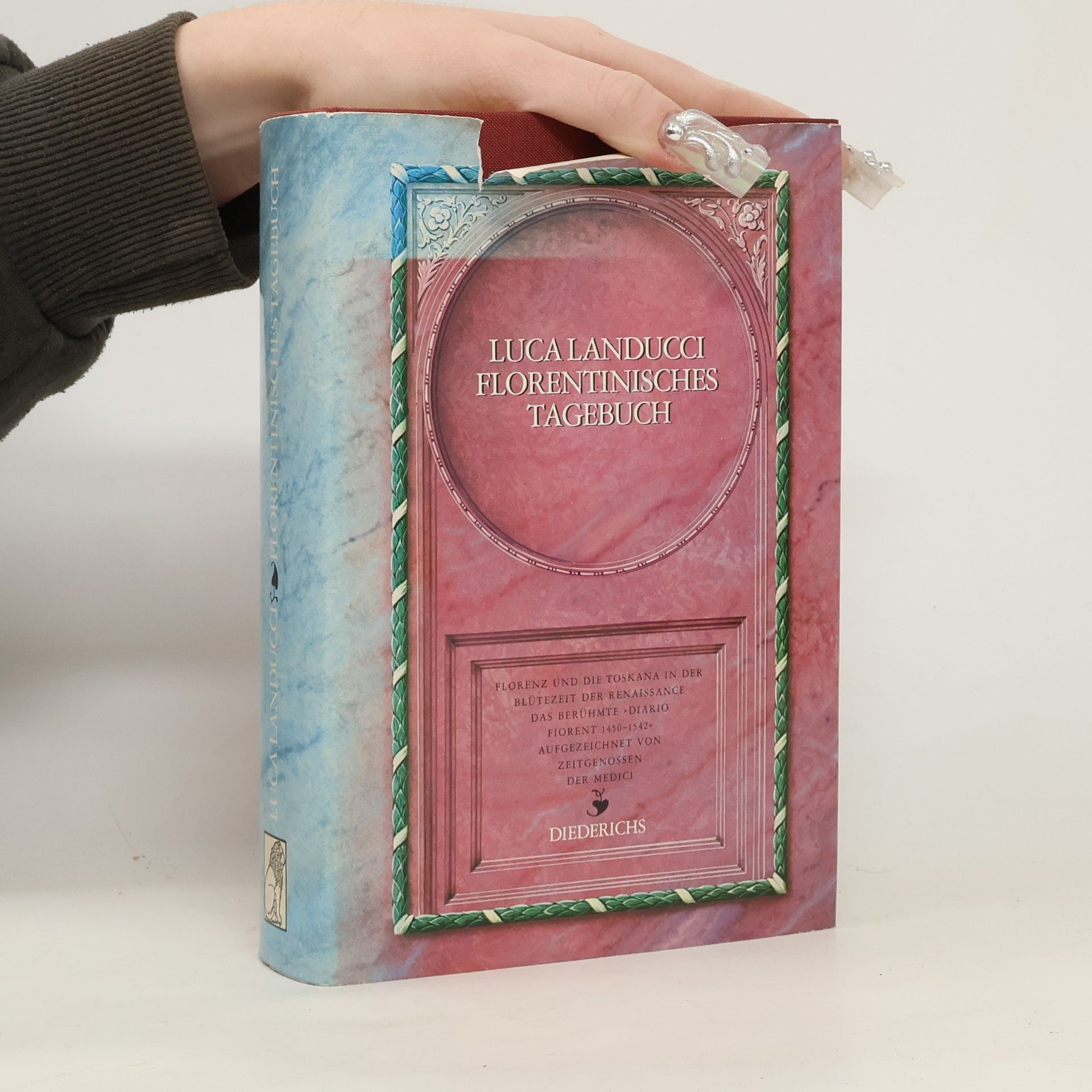 Luca Landucci Ein florentinisches Tagebuch